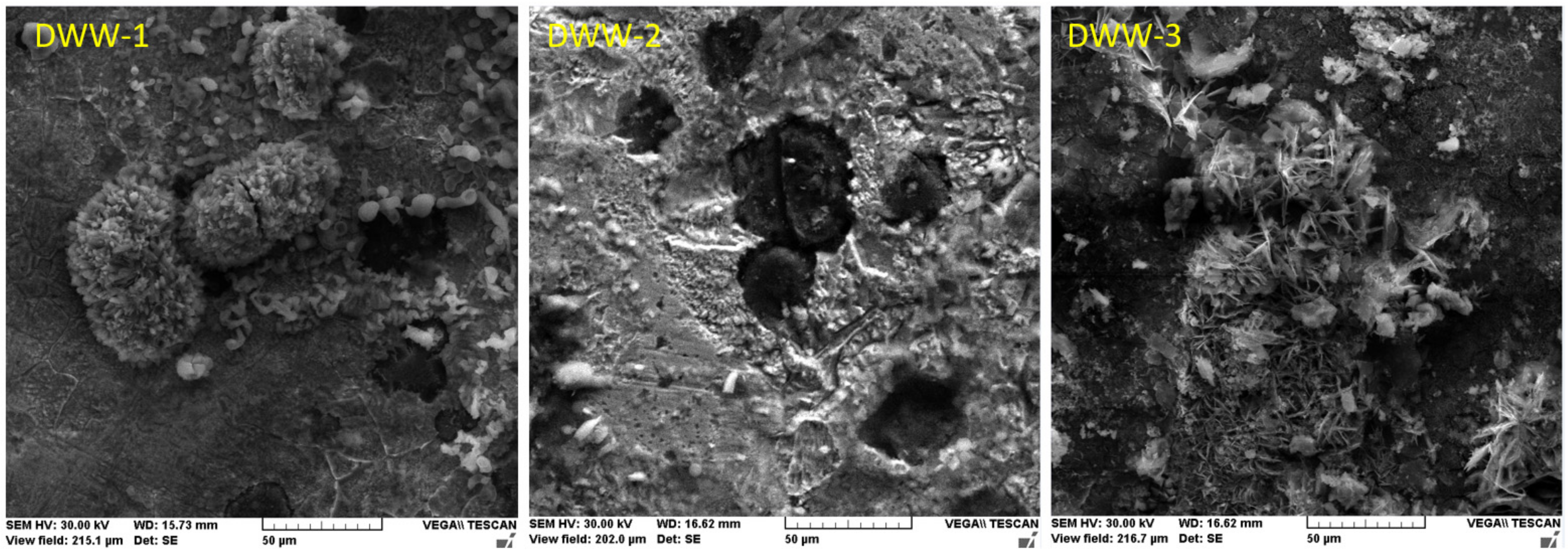 Coatings 12 00911 g011