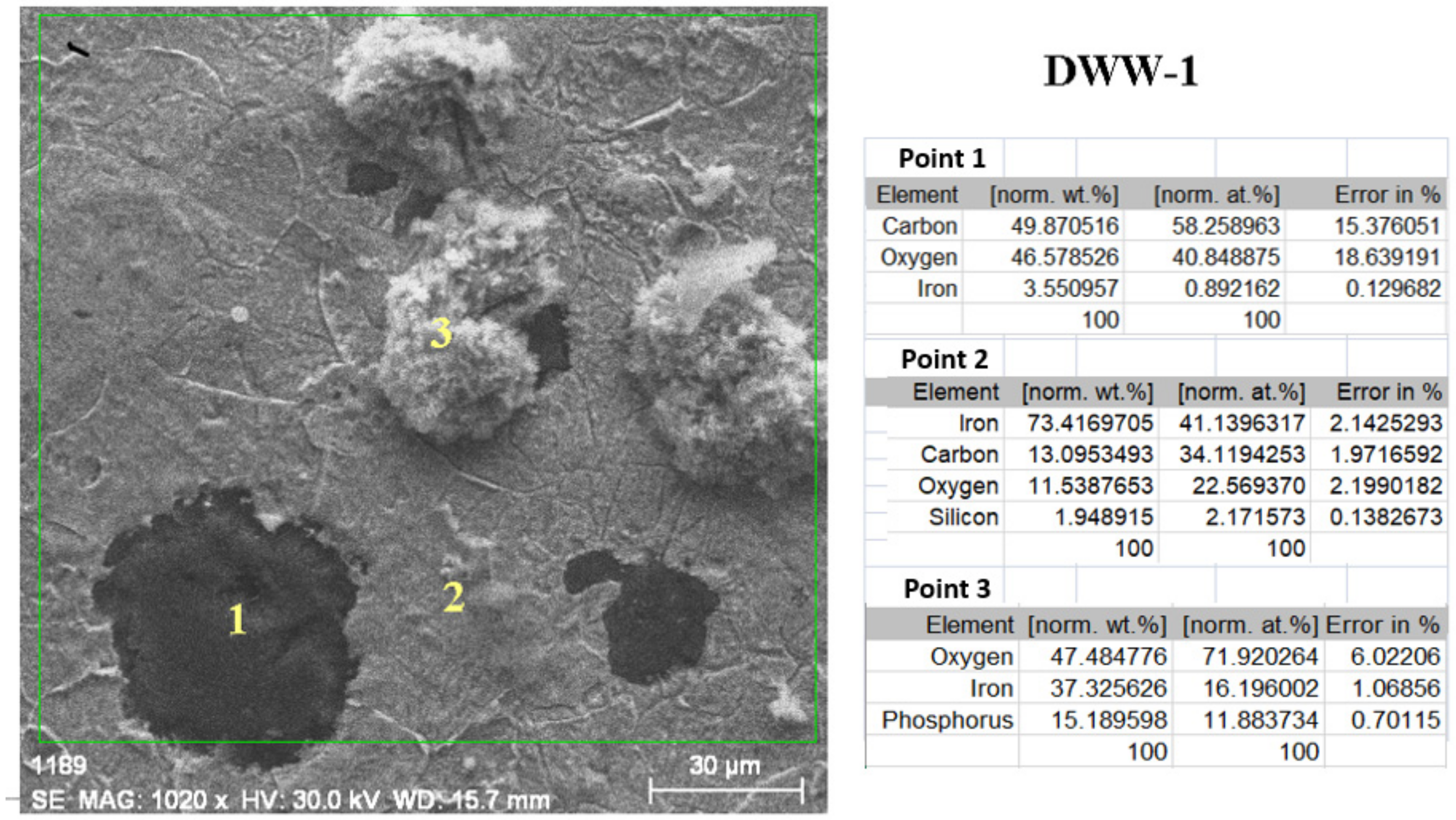 Coatings 12 00911 g012