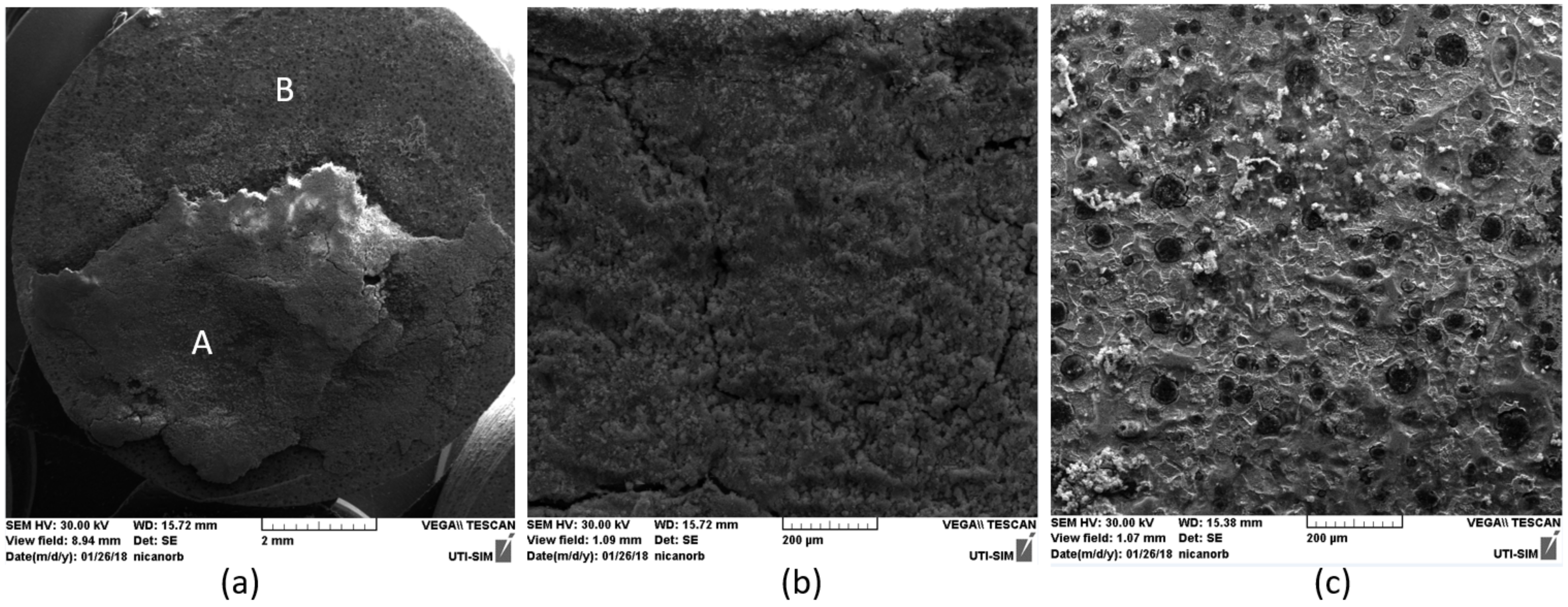 Coatings 12 00911 g016