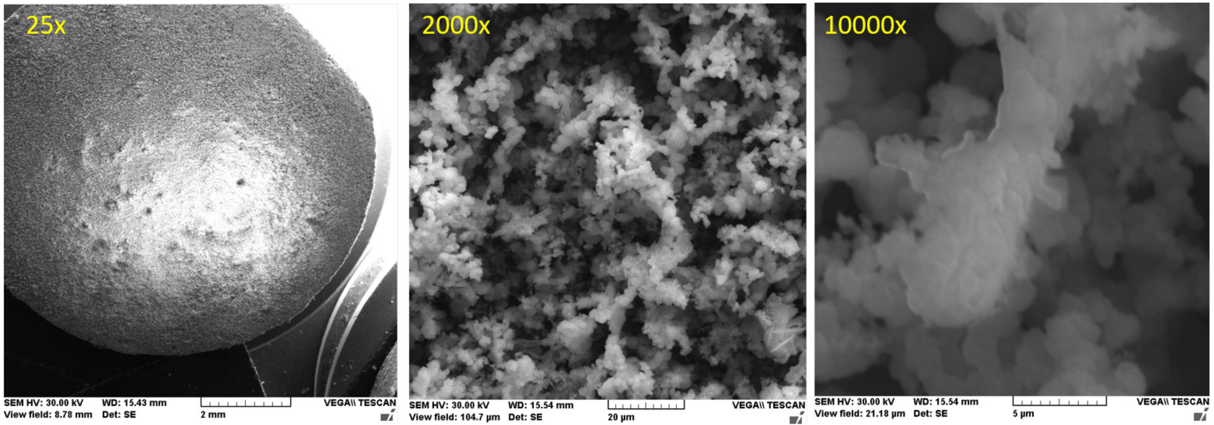 Coatings 12 00911 g018