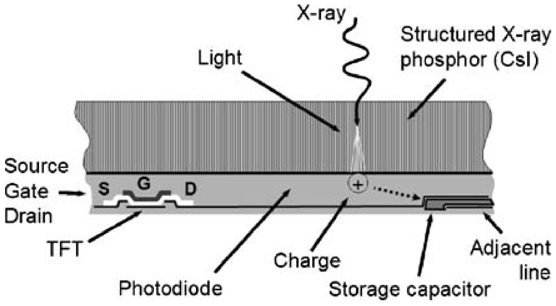 Coatings 12 00921 g003