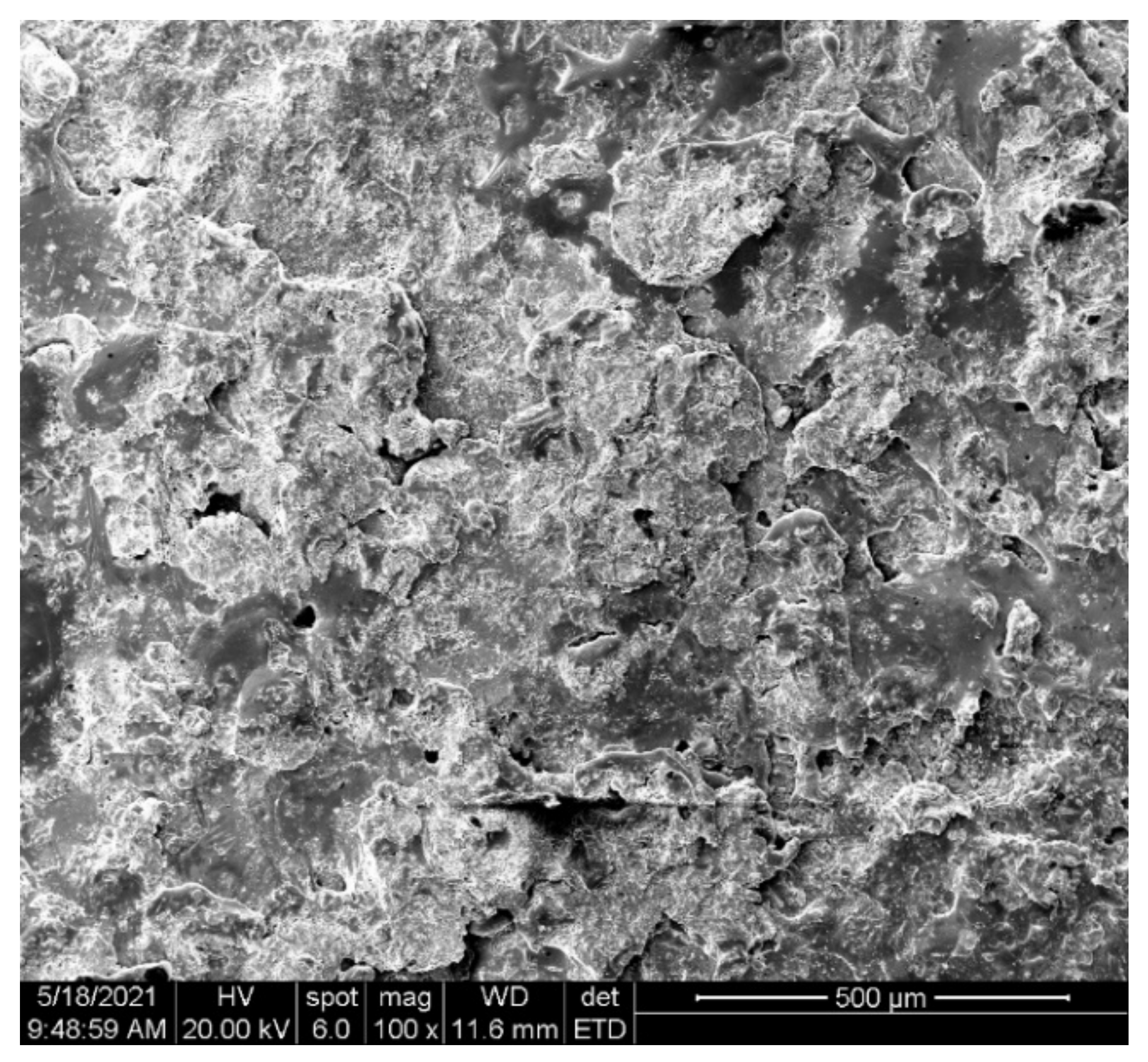 Coatings 12 00930 g002 Coatings 12 00930 g002