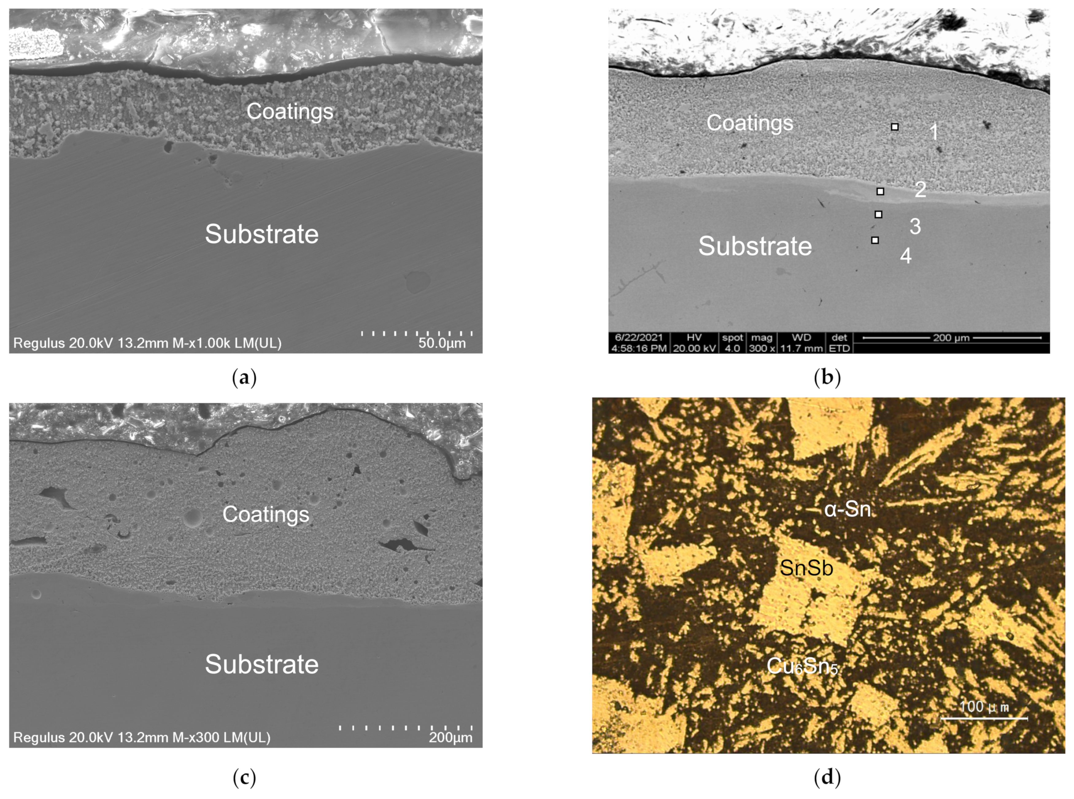 Coatings 12 00930 g004 Coatings 12 00930 g004