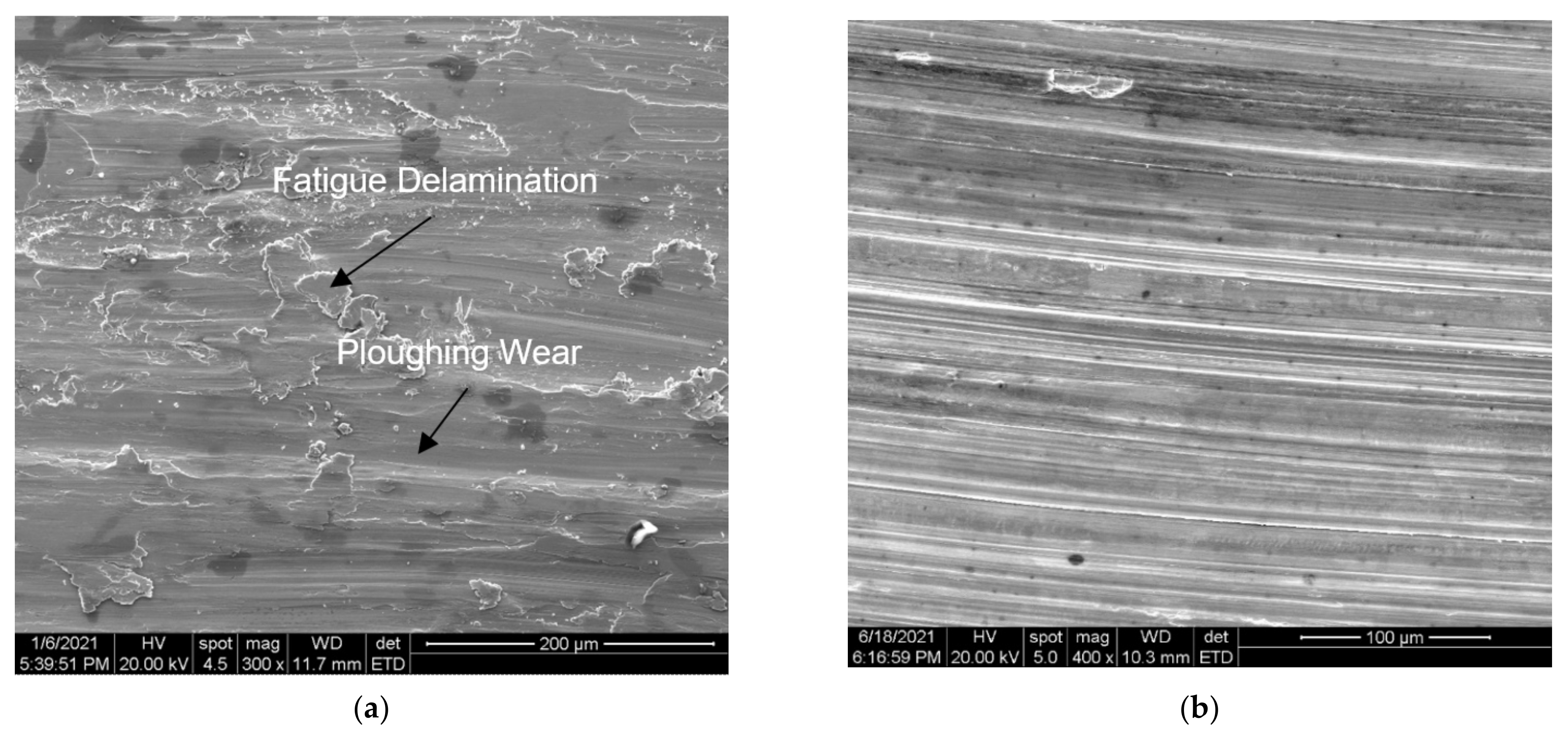 Coatings 12 00930 g007 Coatings 12 00930 g007