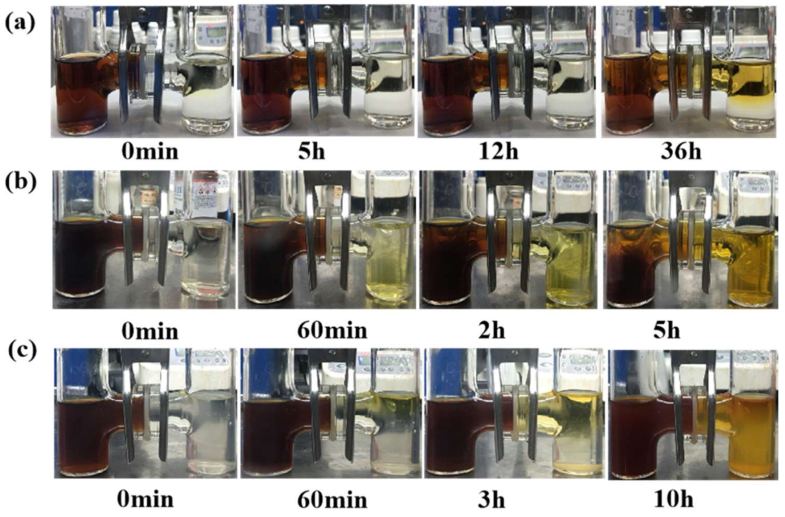 Coatings 12 00931 g003