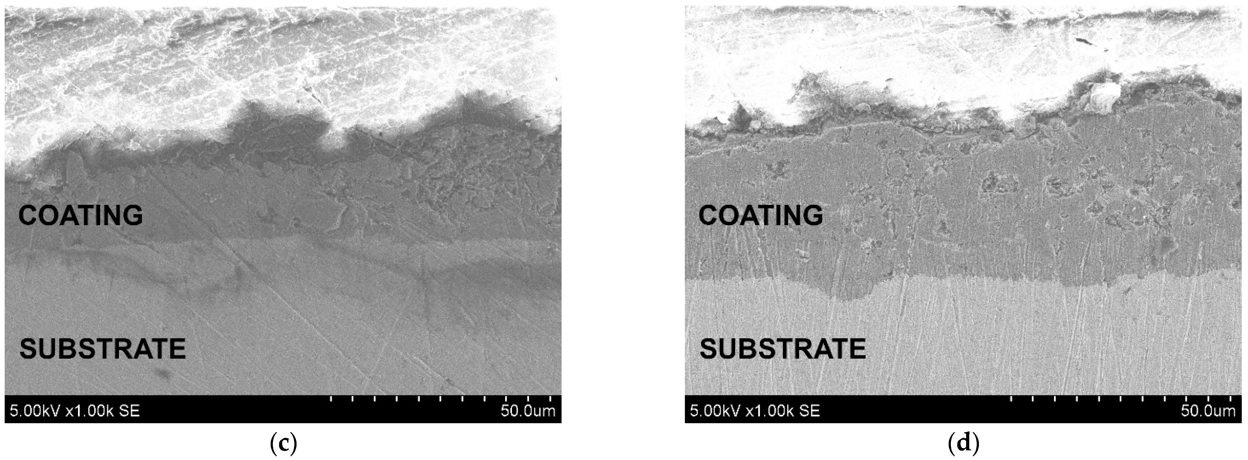 Coatings 12 00934 g006b