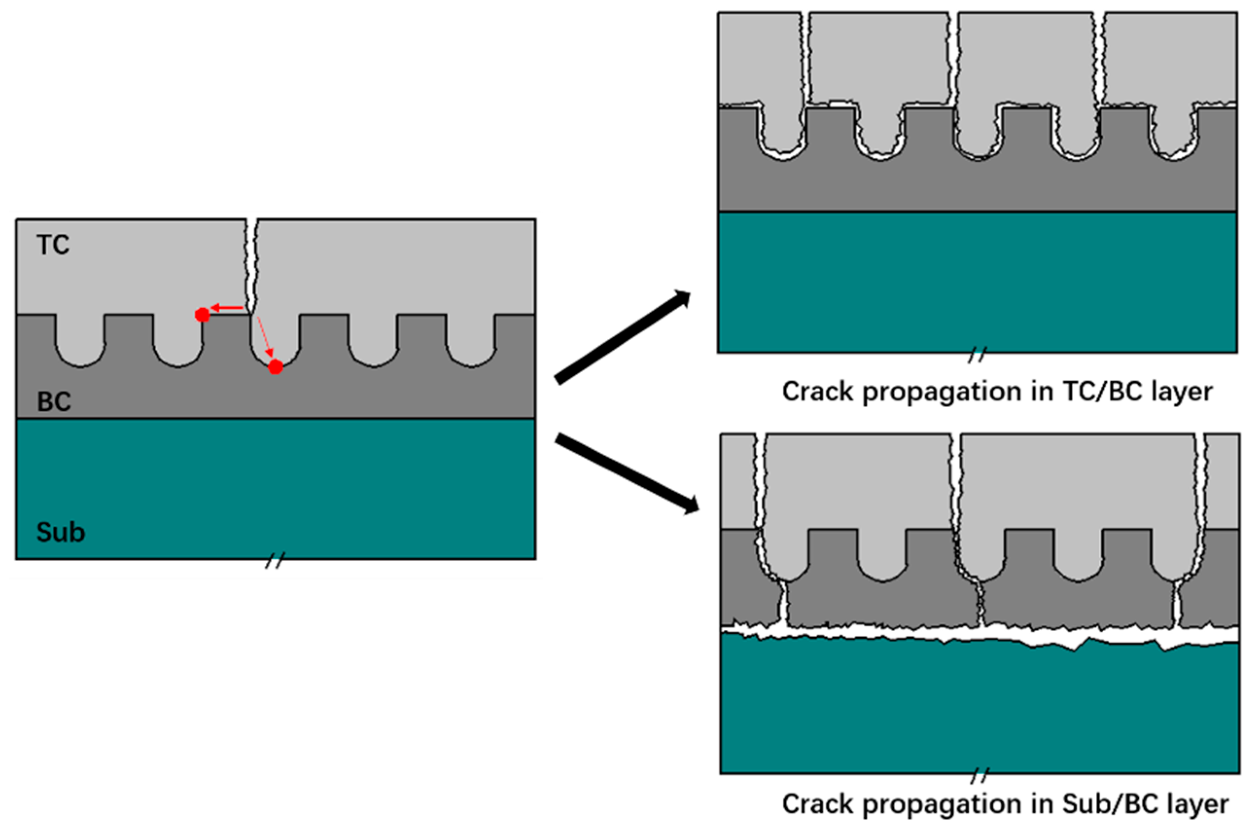 Coatings 12 00940 g009