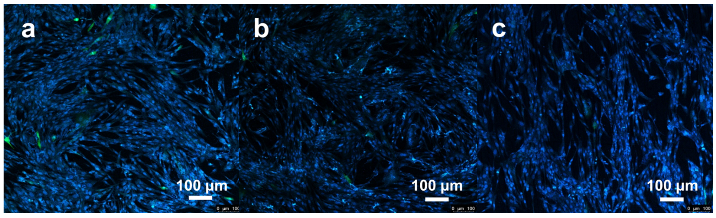 Coatings 12 00942 g012