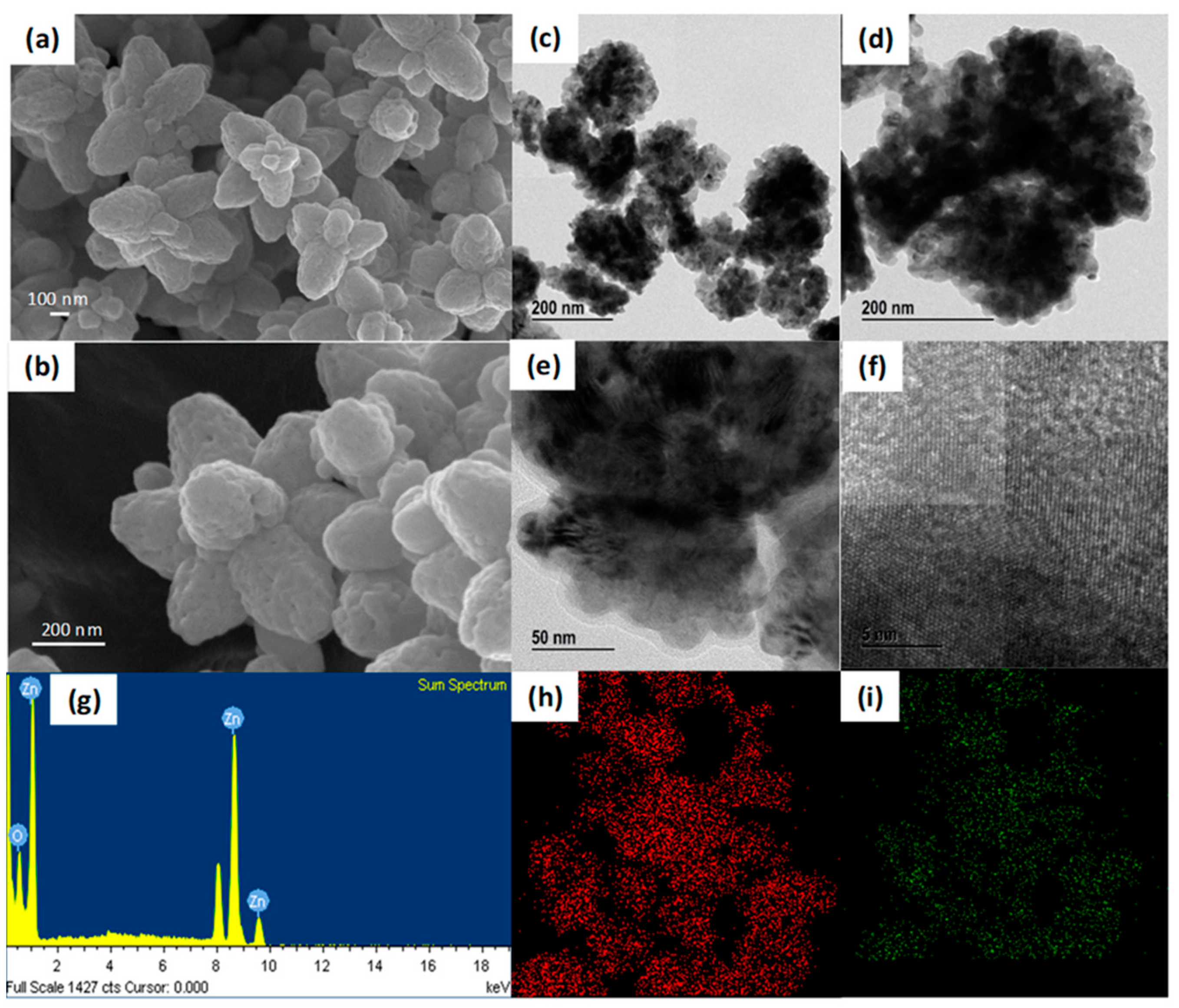 Coatings 12 00946 g002