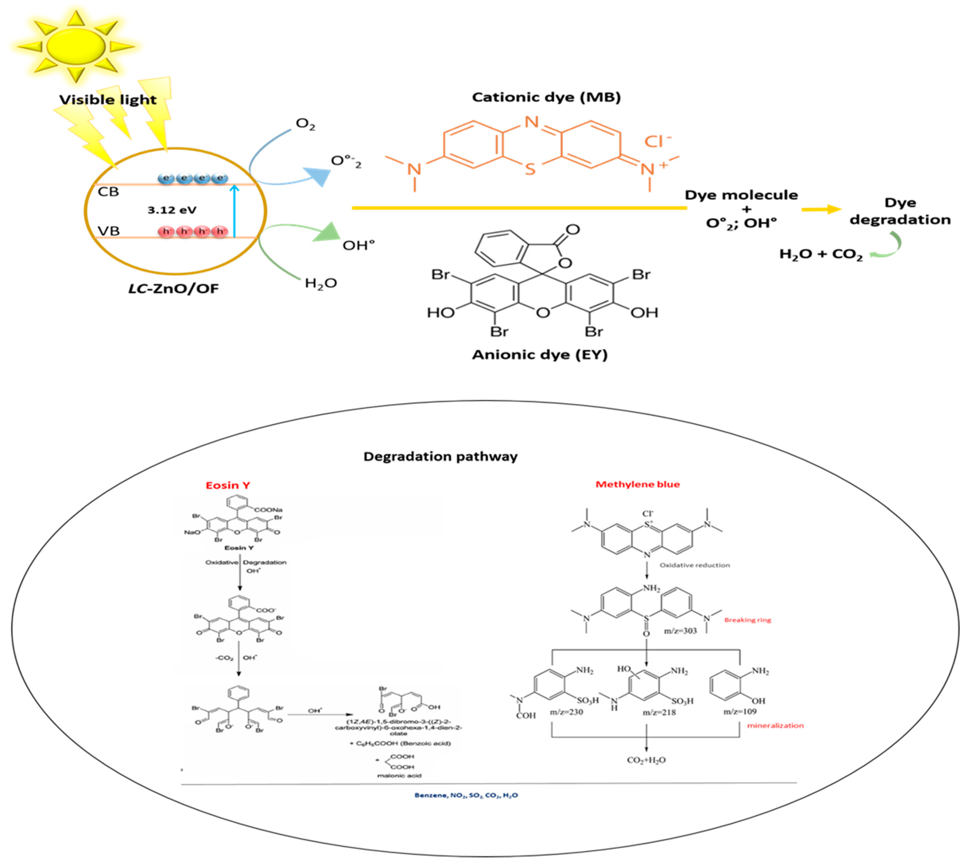 Coatings 12 00946 g008