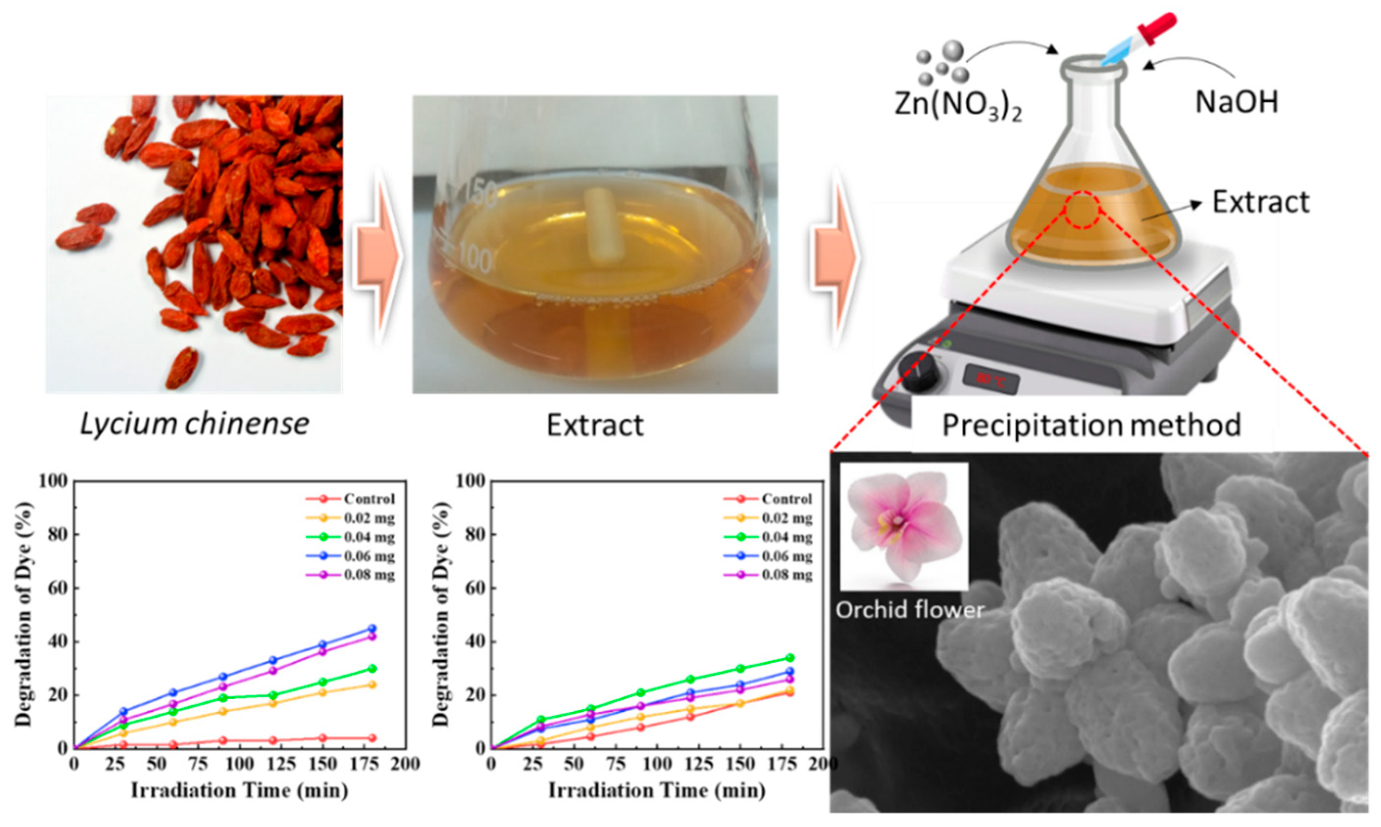 Coatings 12 00946 sch001