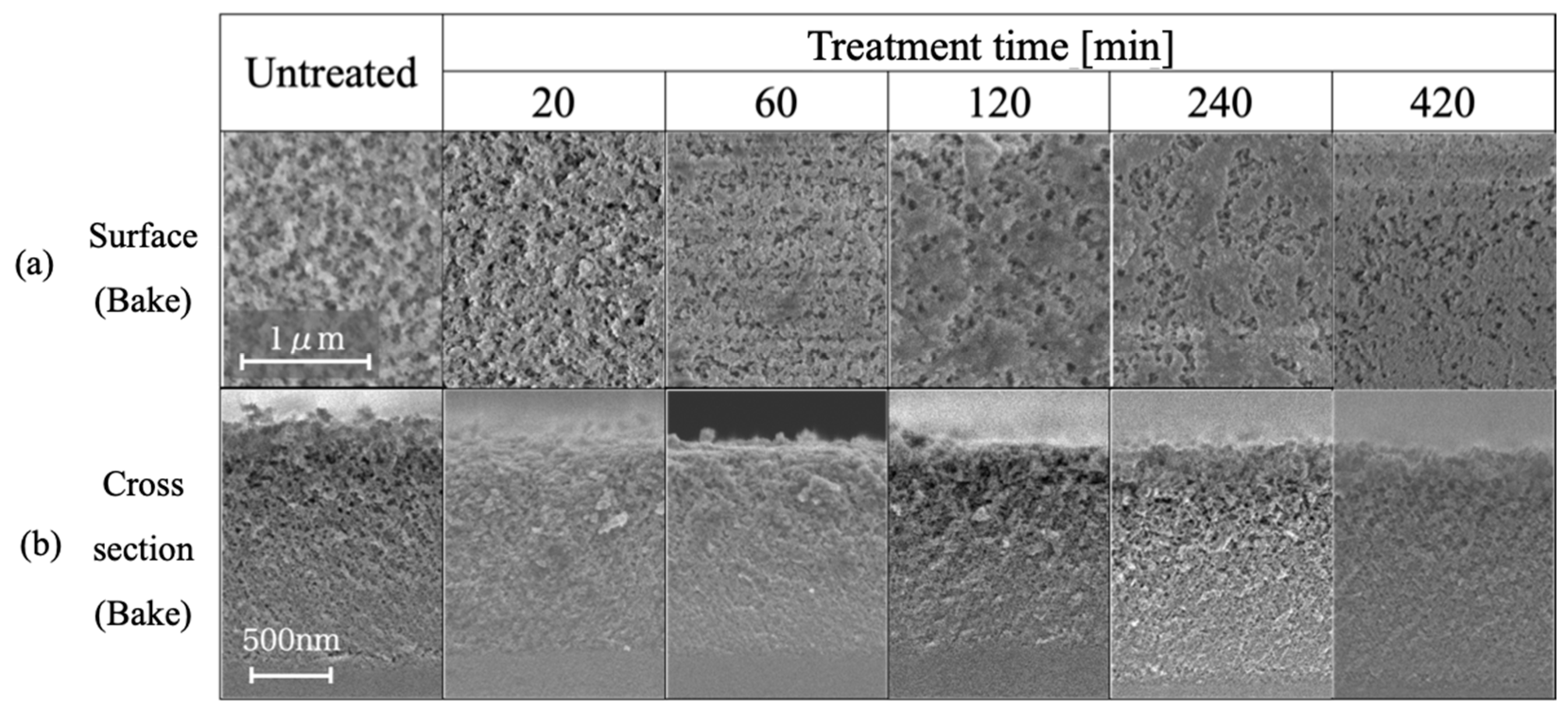 Coatings 12 00961 g006a