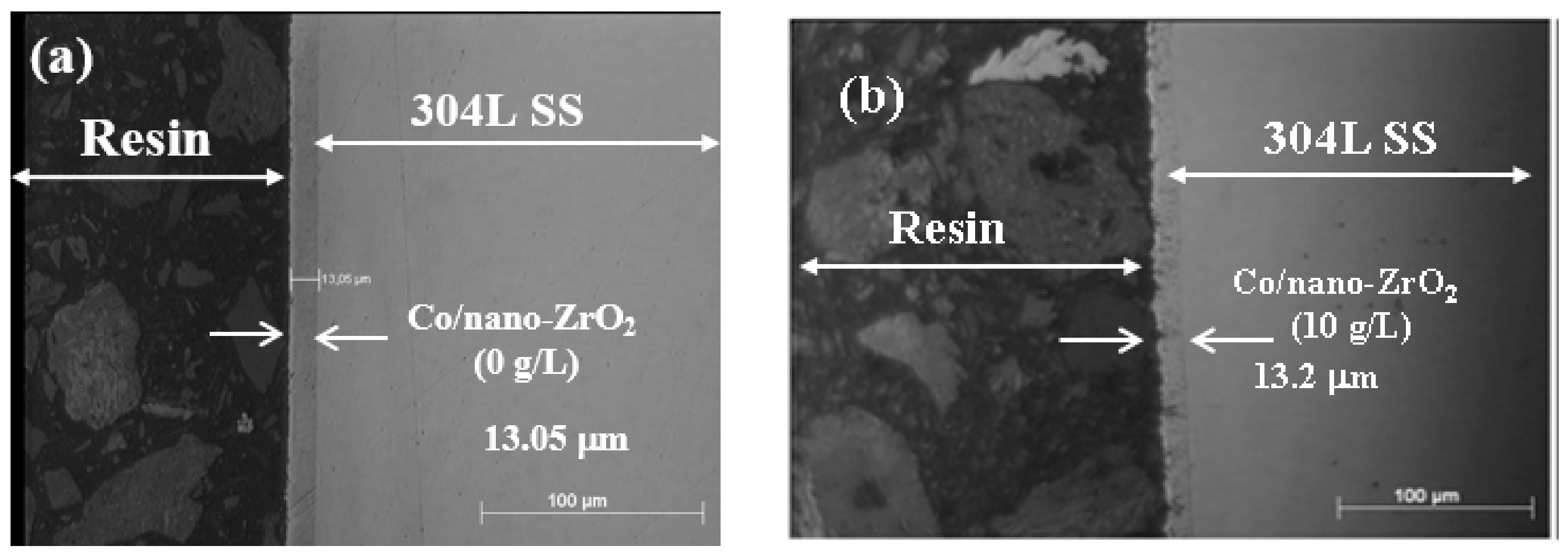 Coatings 12 00962 g003