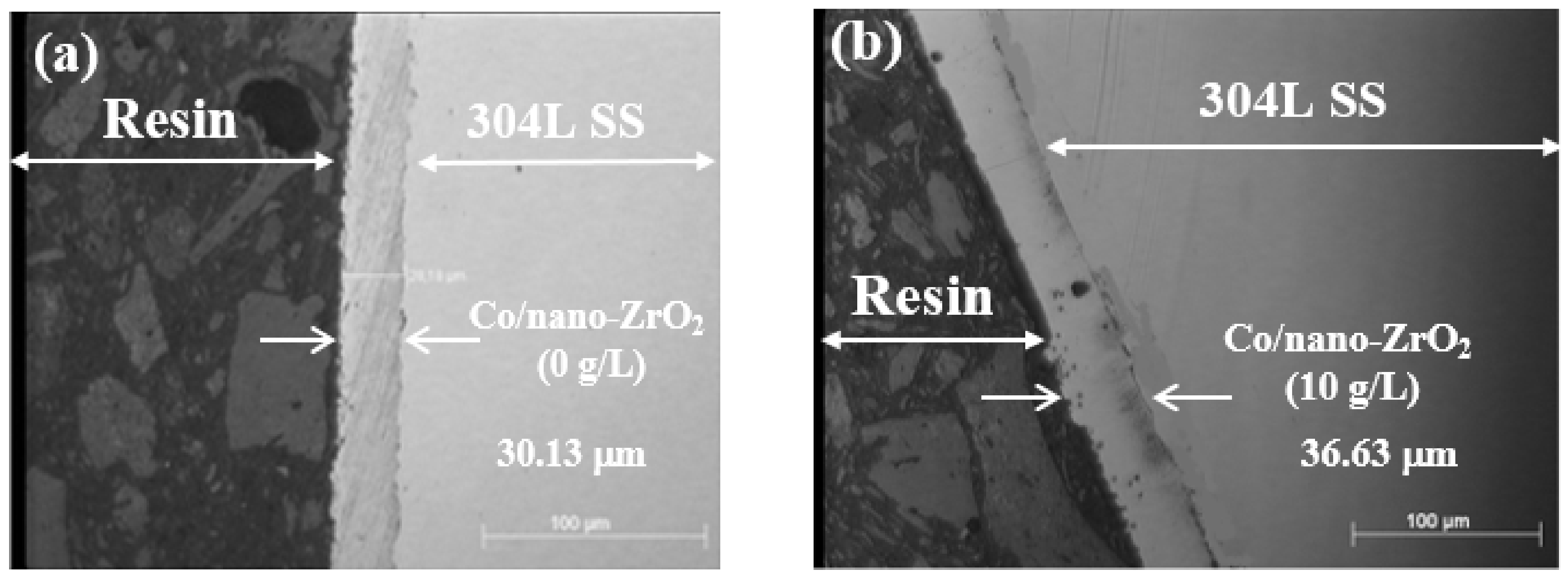 Coatings 12 00962 g005