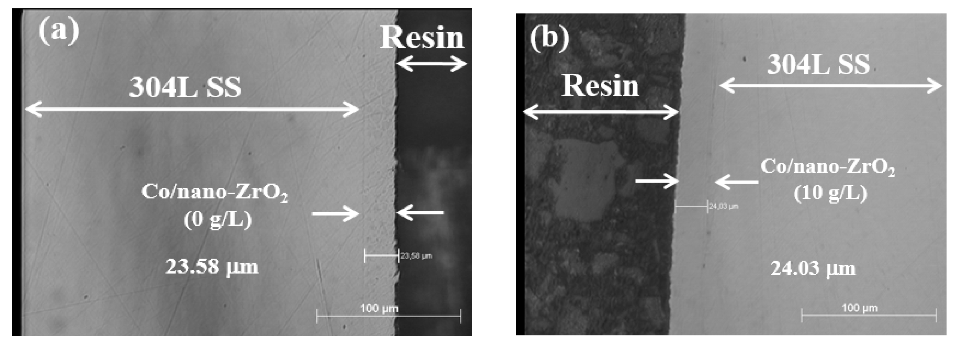 Coatings 12 00962 g006