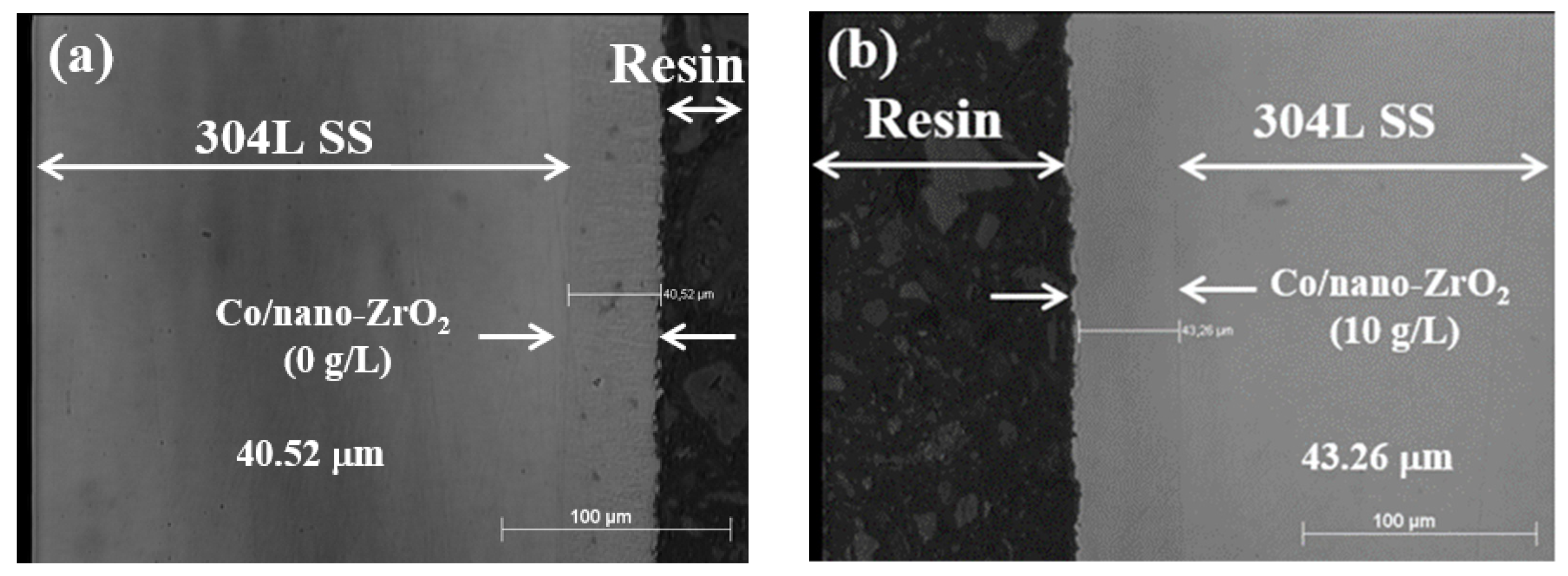 Coatings 12 00962 g007
