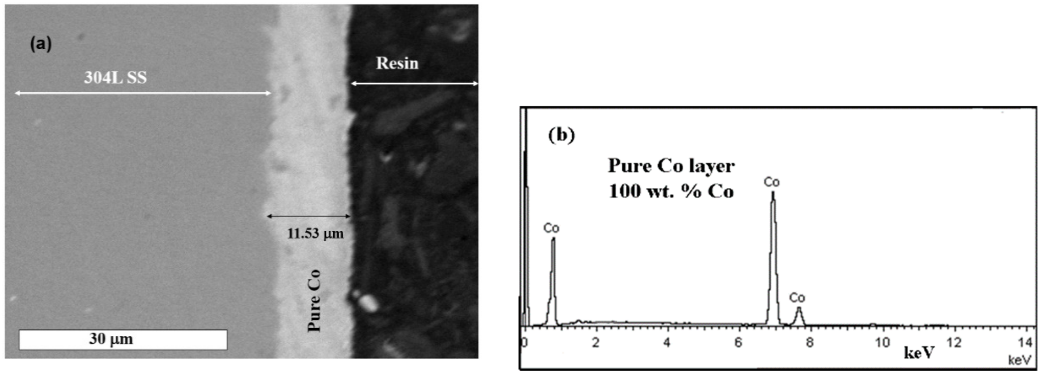 Coatings 12 00962 g008