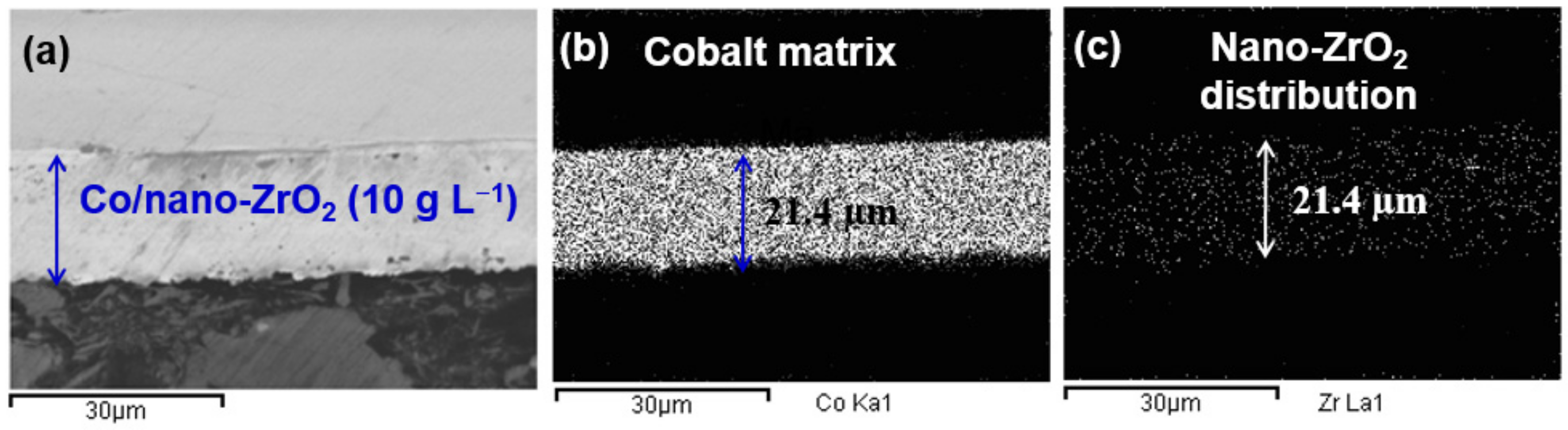 Coatings 12 00962 g010