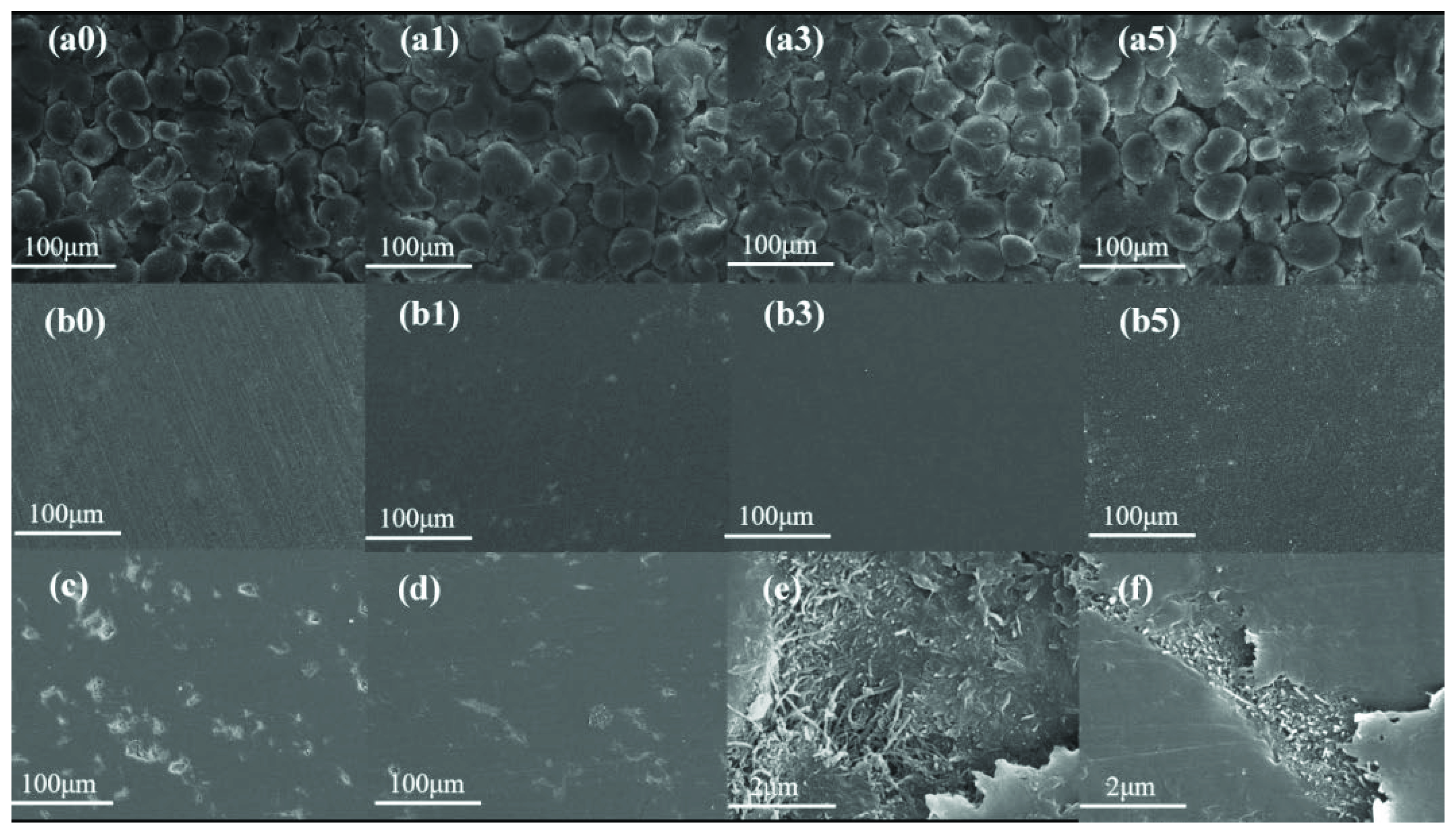 Coatings 12 00983 g002