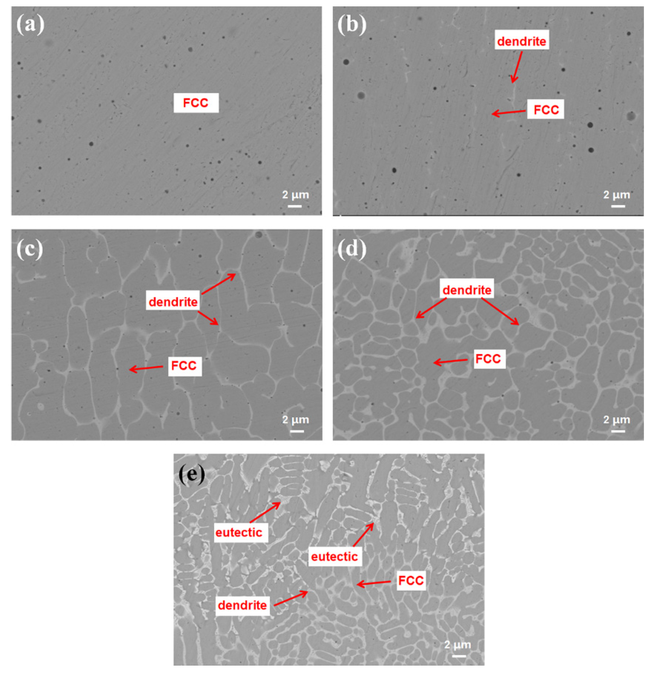 Coatings 12 00985 g006