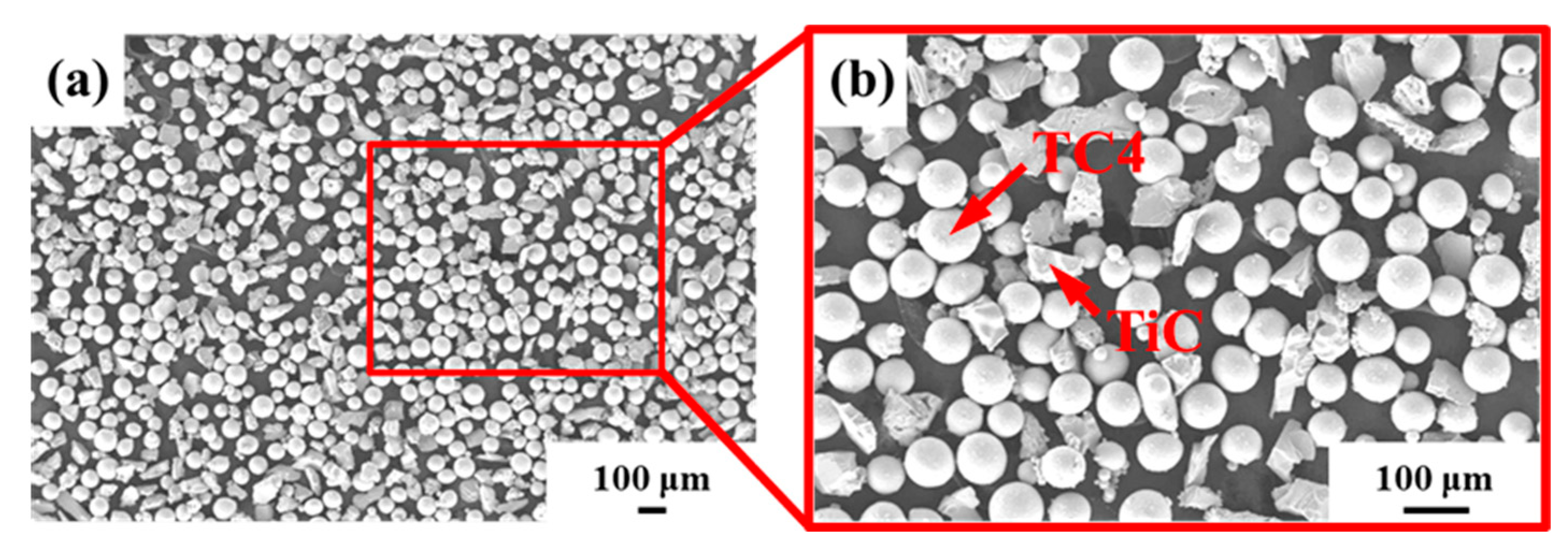 Coatings 12 00986 g001