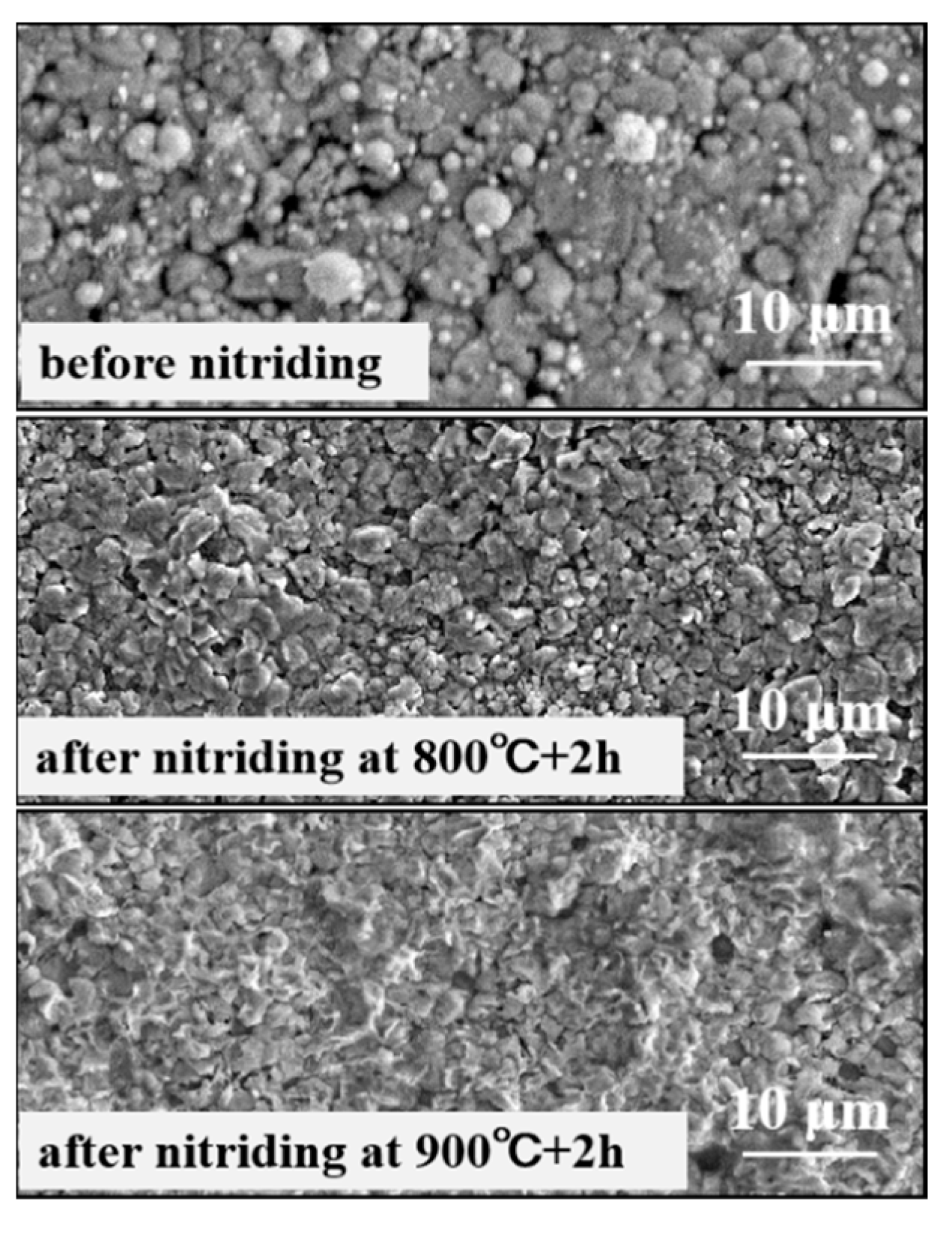 Coatings 12 00987 g003