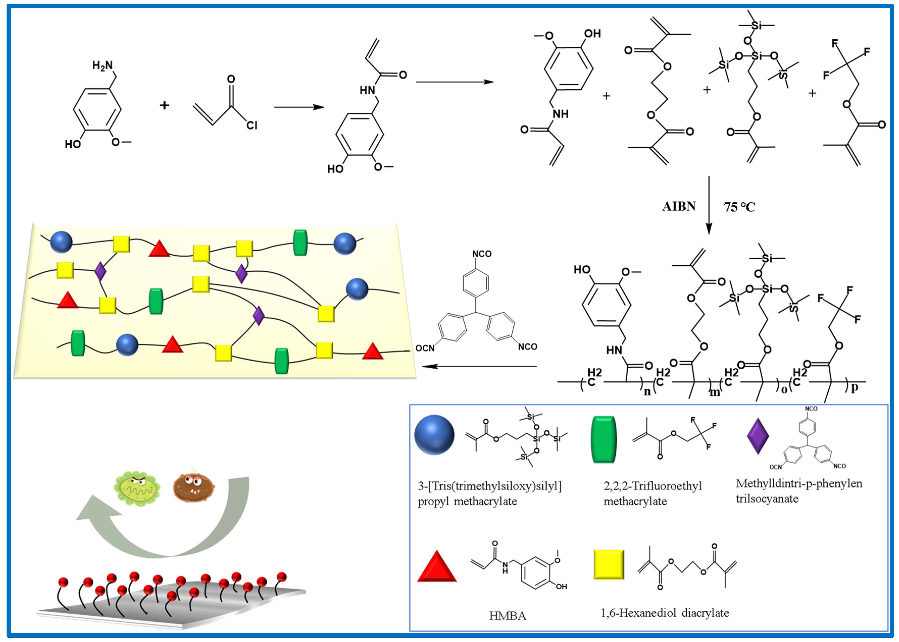 Coatings 12 00988 g001