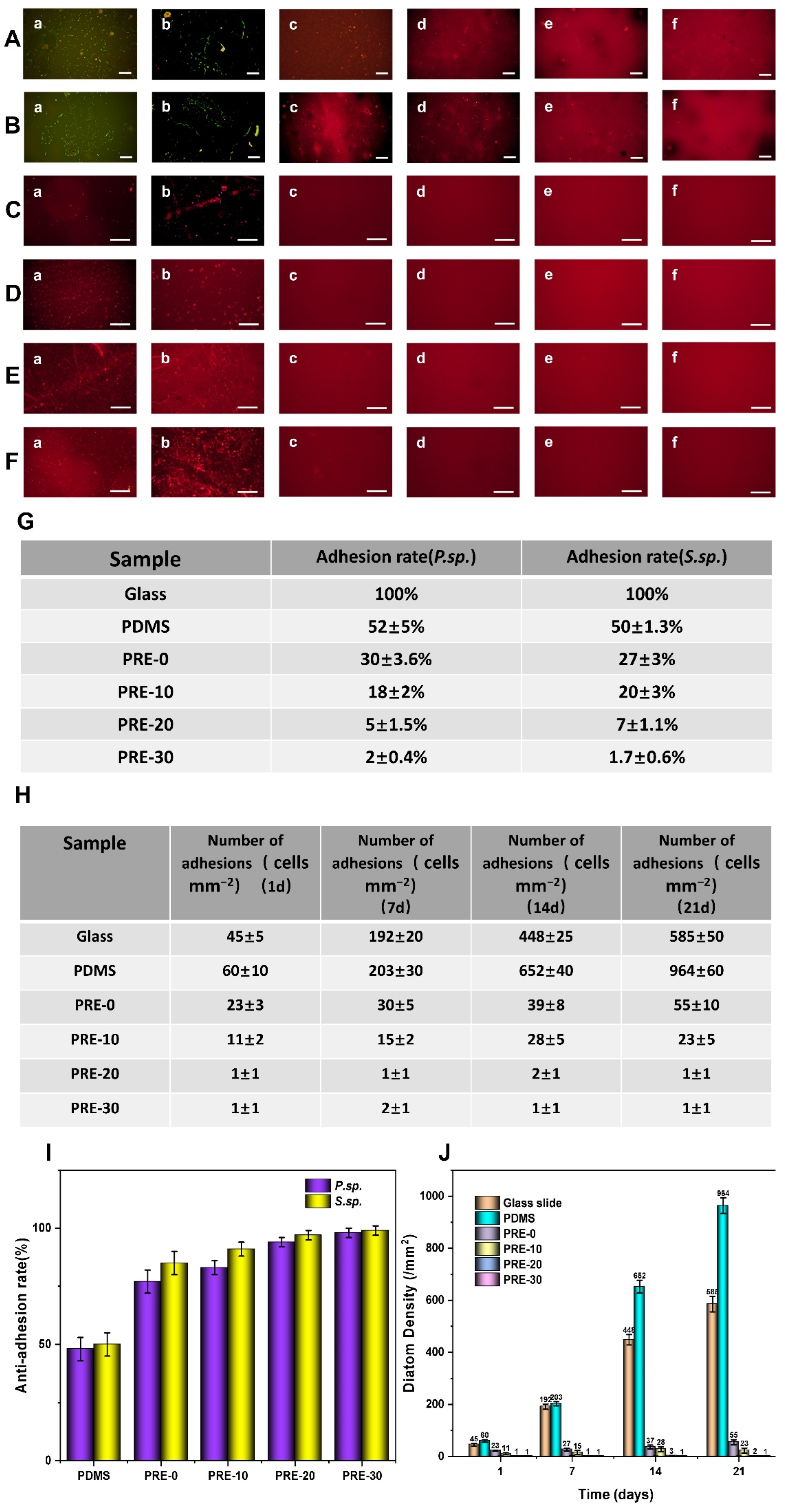 Coatings 12 00988 g004