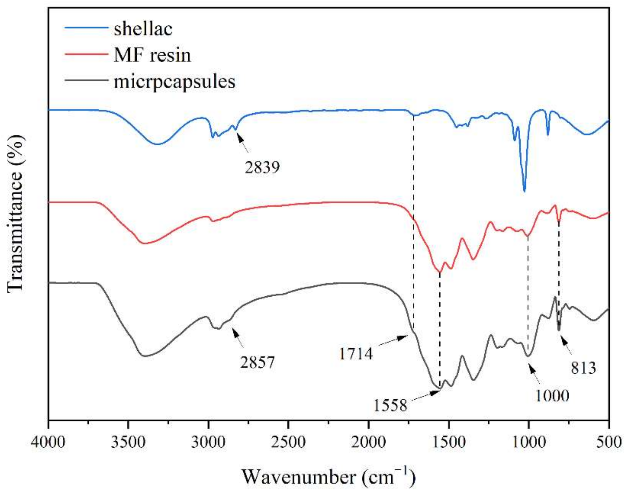 Coatings 12 00989 g003