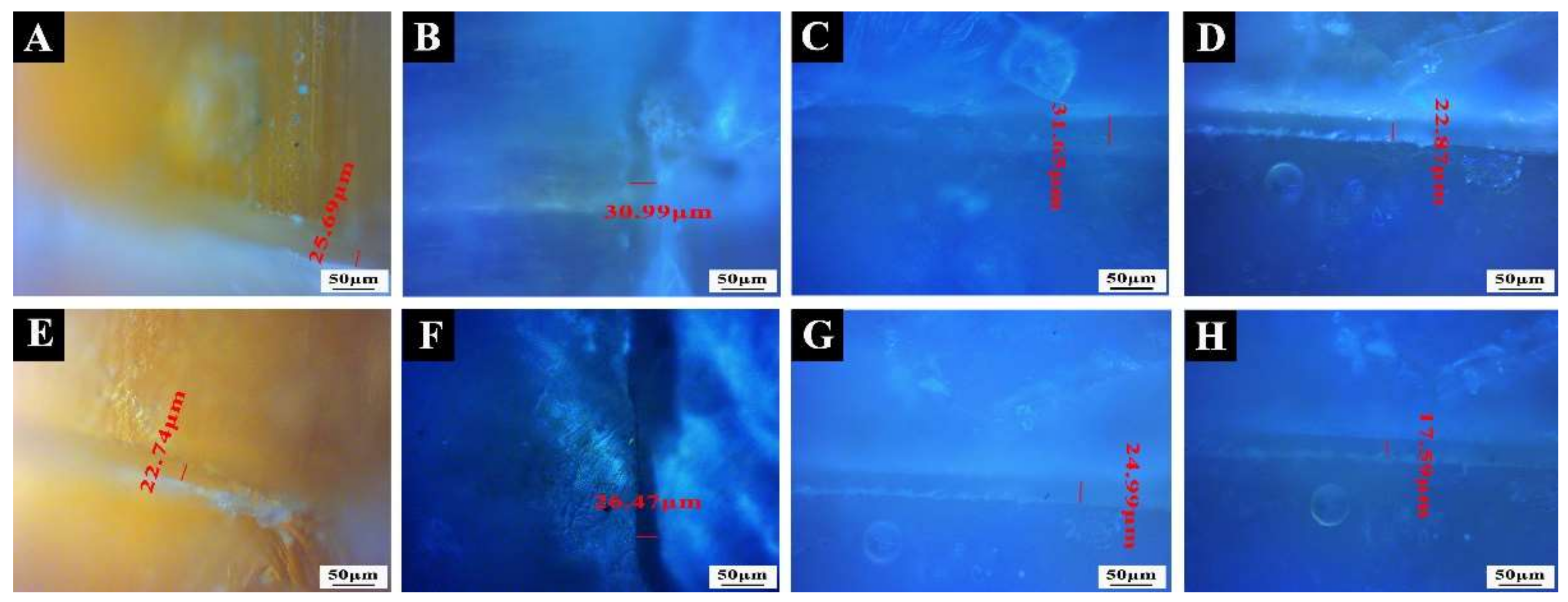 Coatings 12 00989 g004