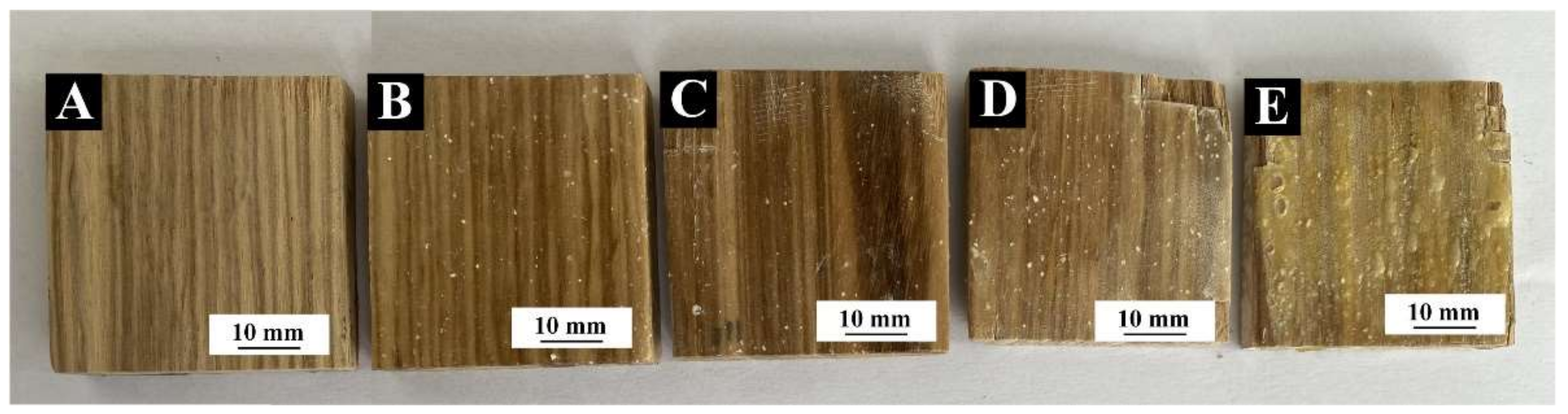 Coatings 12 00989 g005