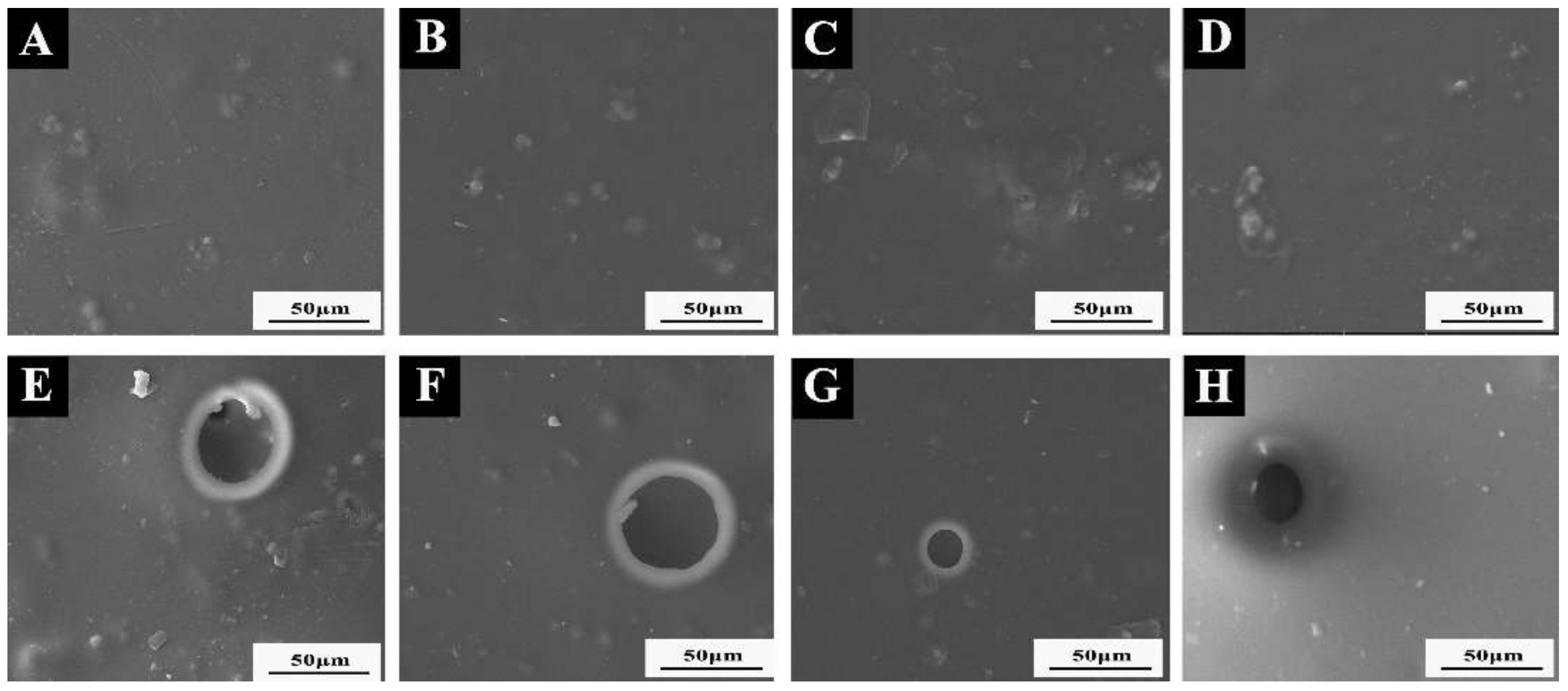 Coatings 12 00989 g008