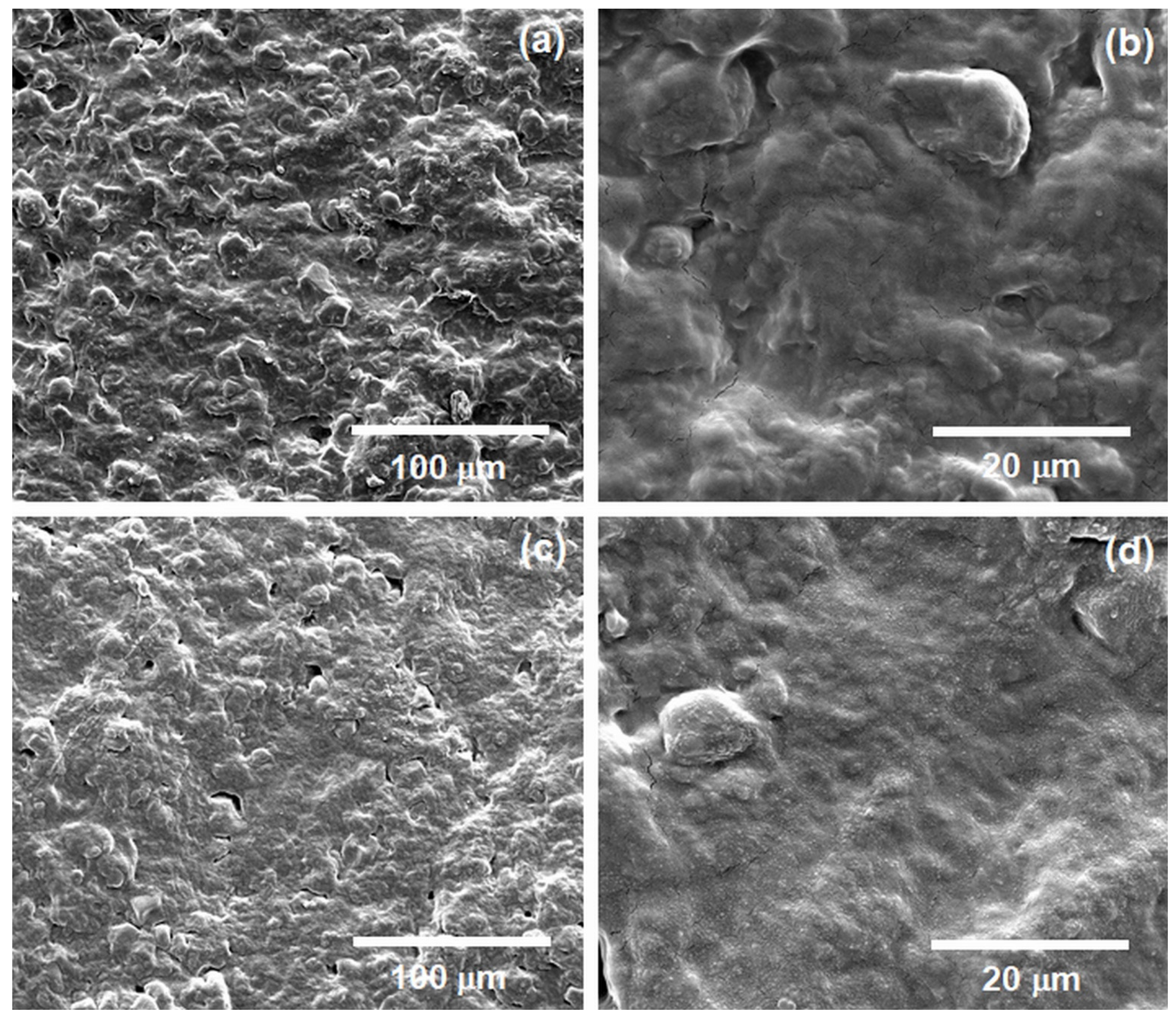 Coatings 12 01006 g002