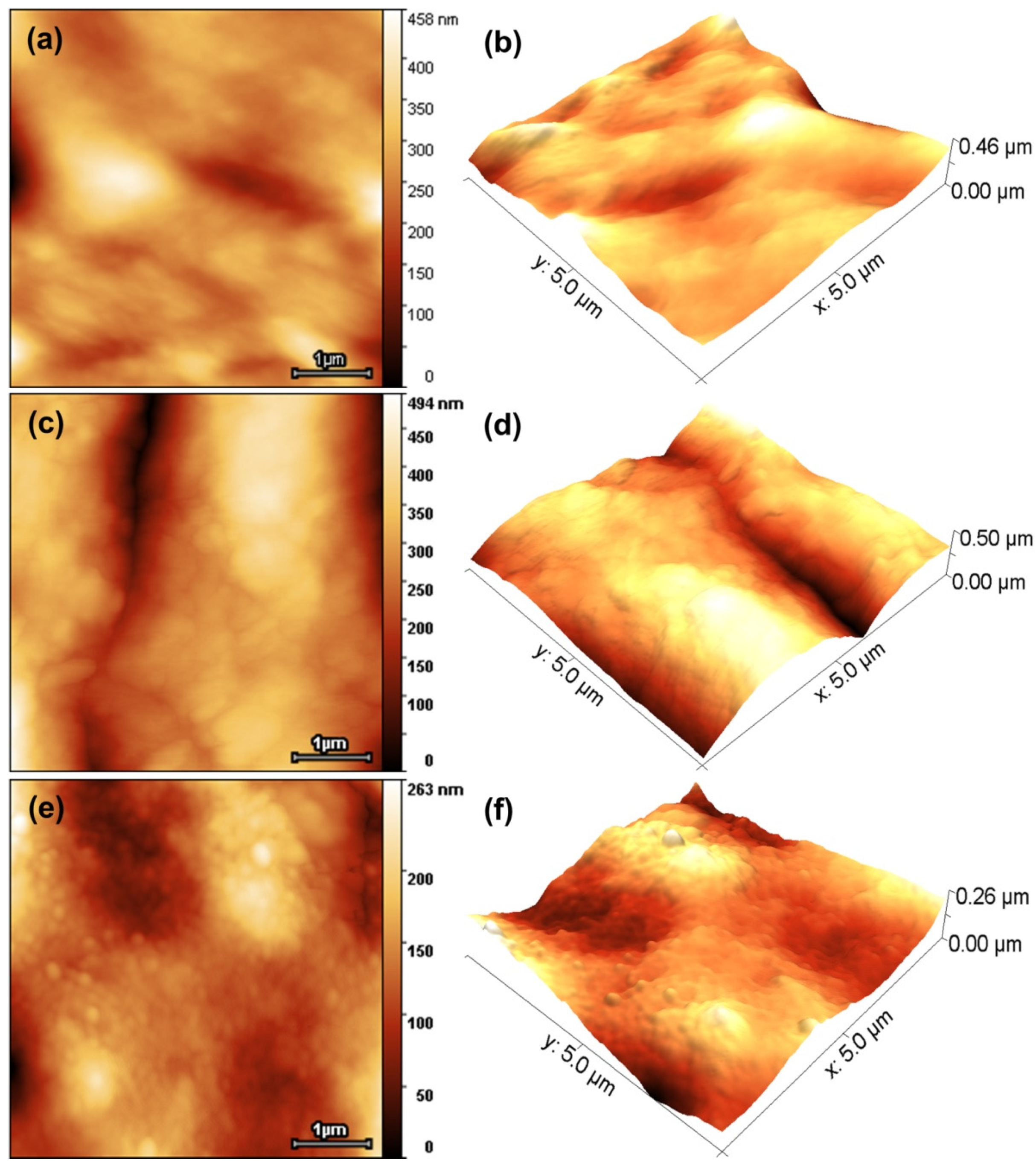 Coatings 12 01006 g003