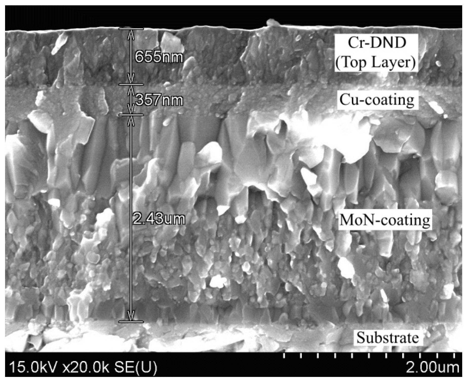 Coatings 12 01012 g001