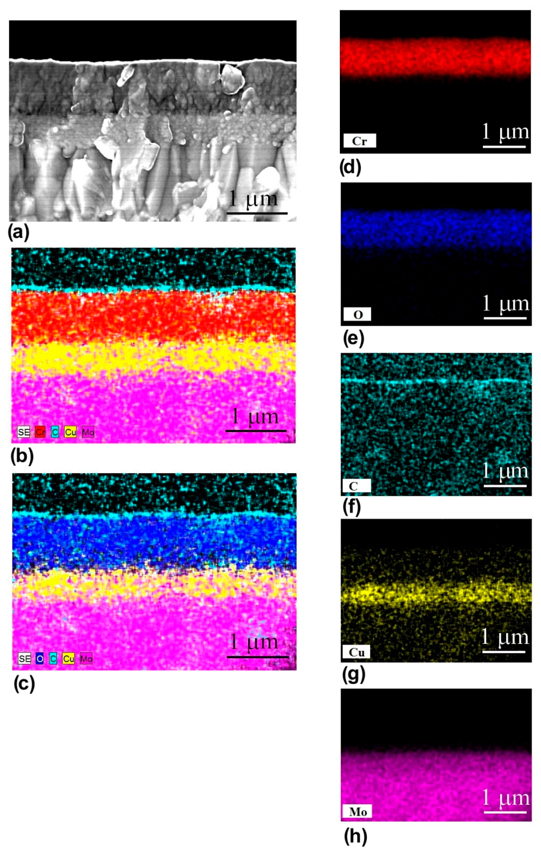 Coatings 12 01012 g002