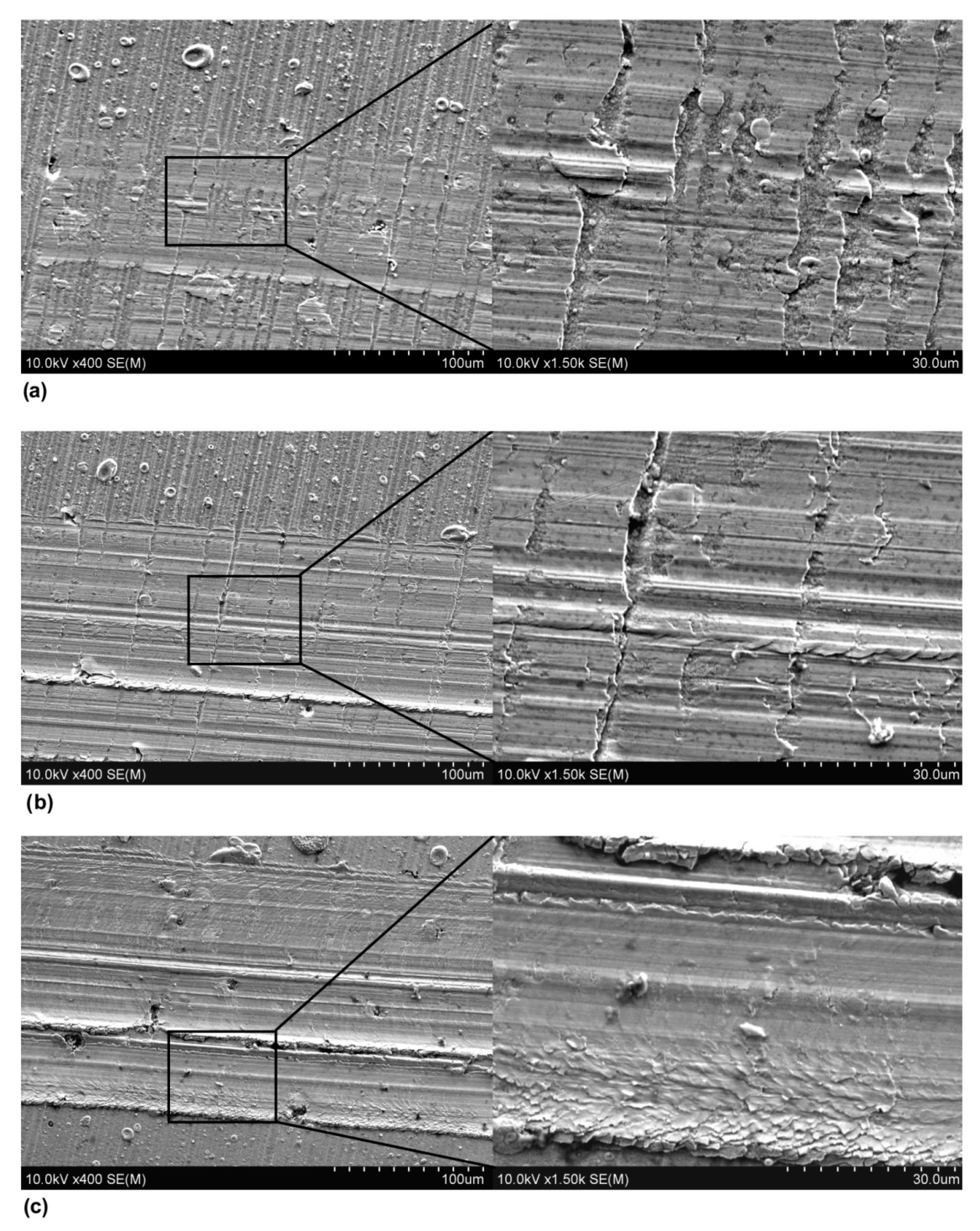 Coatings 12 01012 g009