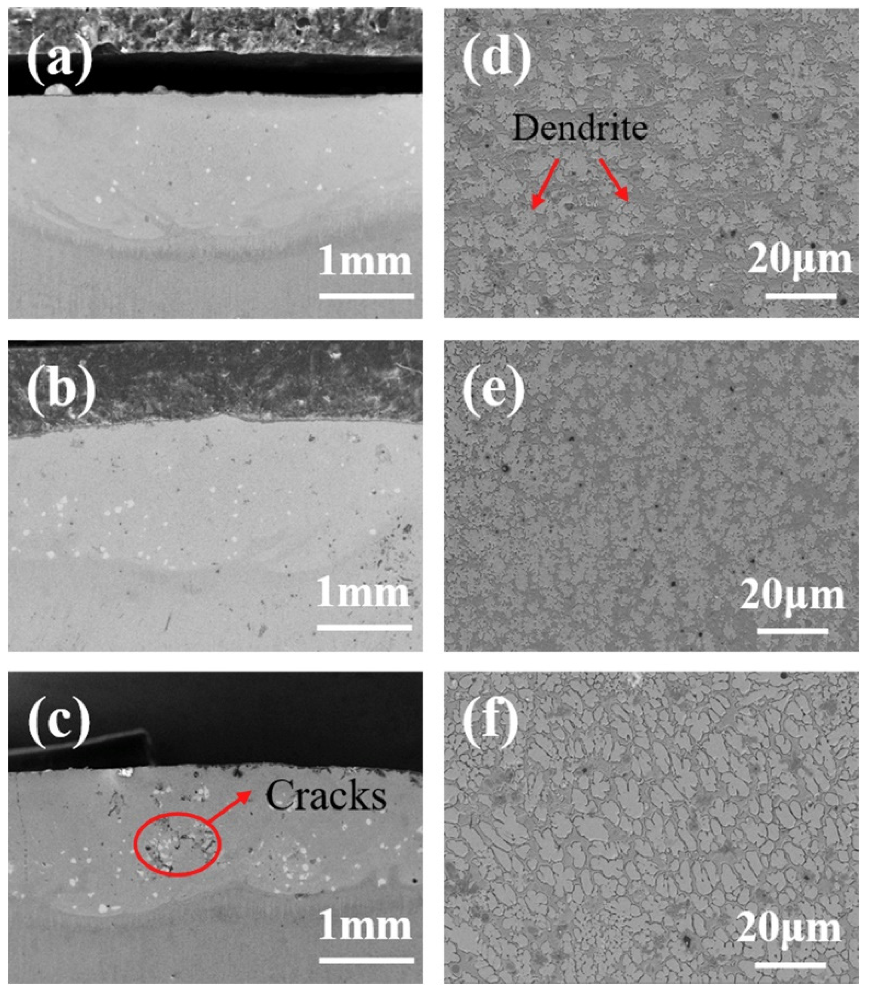 Coatings 12 01023 g004
