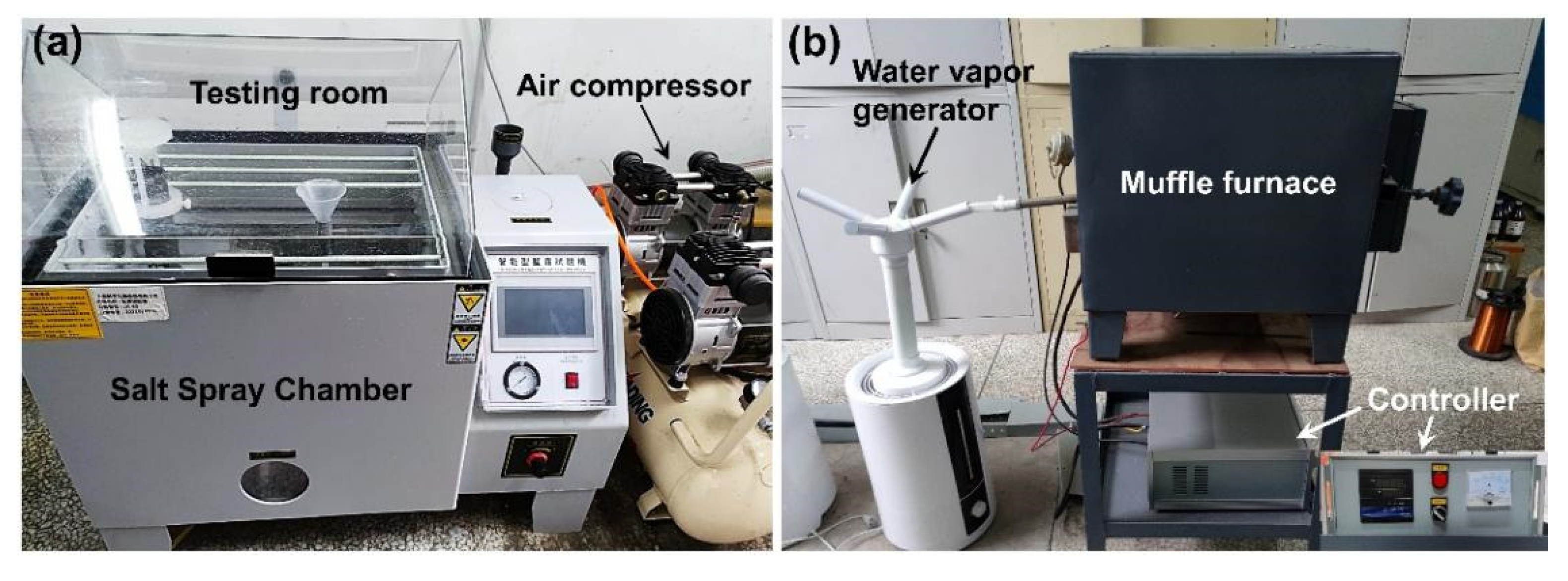 Coatings 12 01028 g002