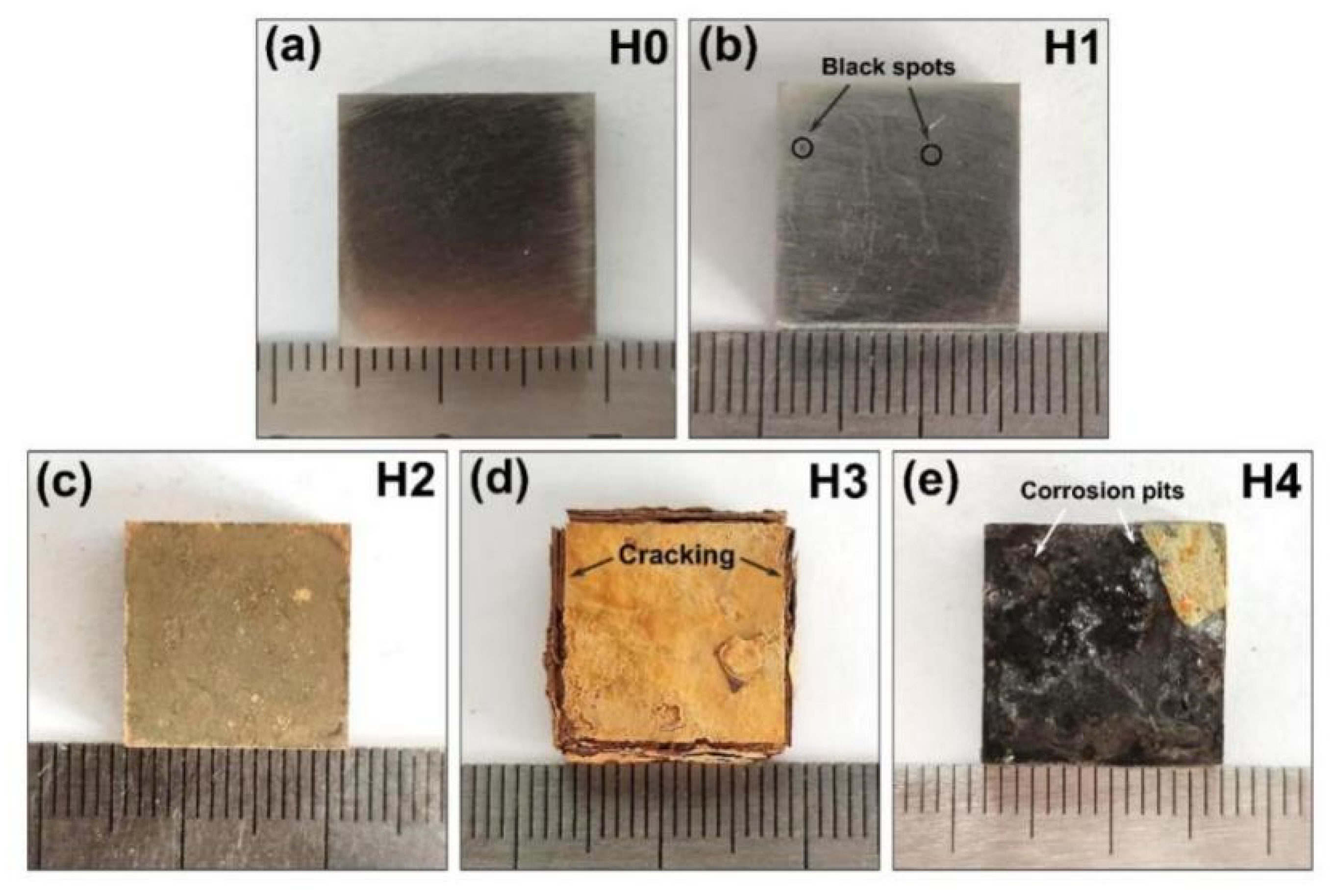 Coatings 12 01028 g004