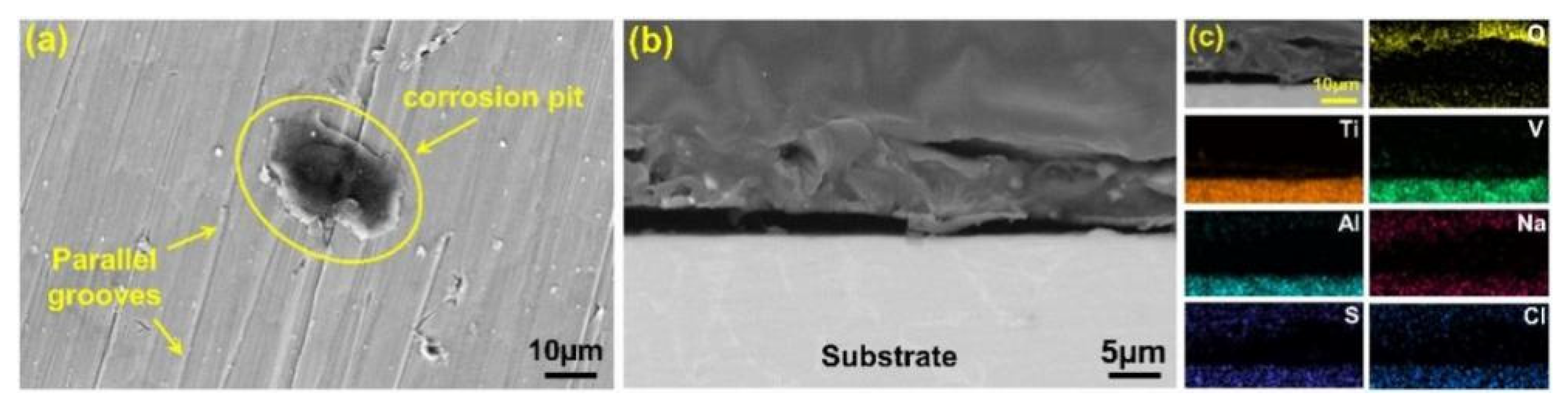 Coatings 12 01028 g006