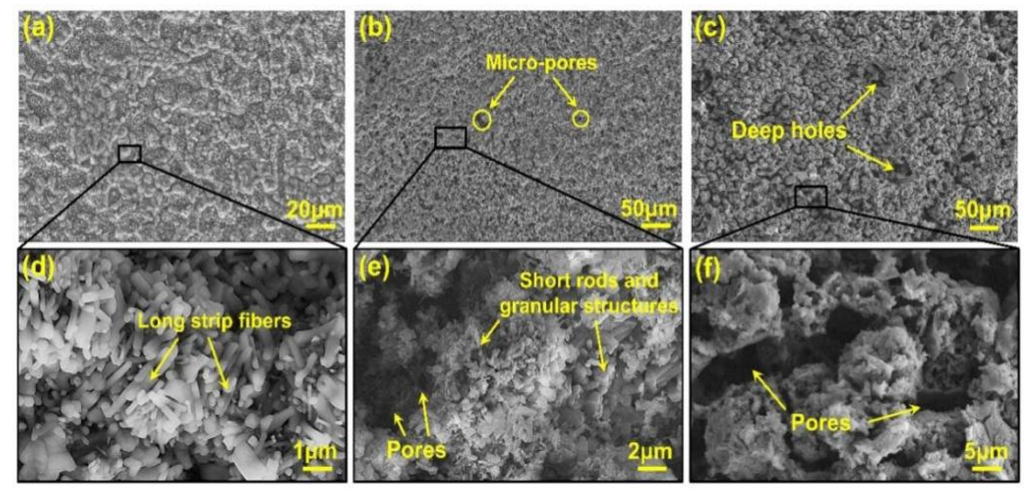 Coatings 12 01028 g007