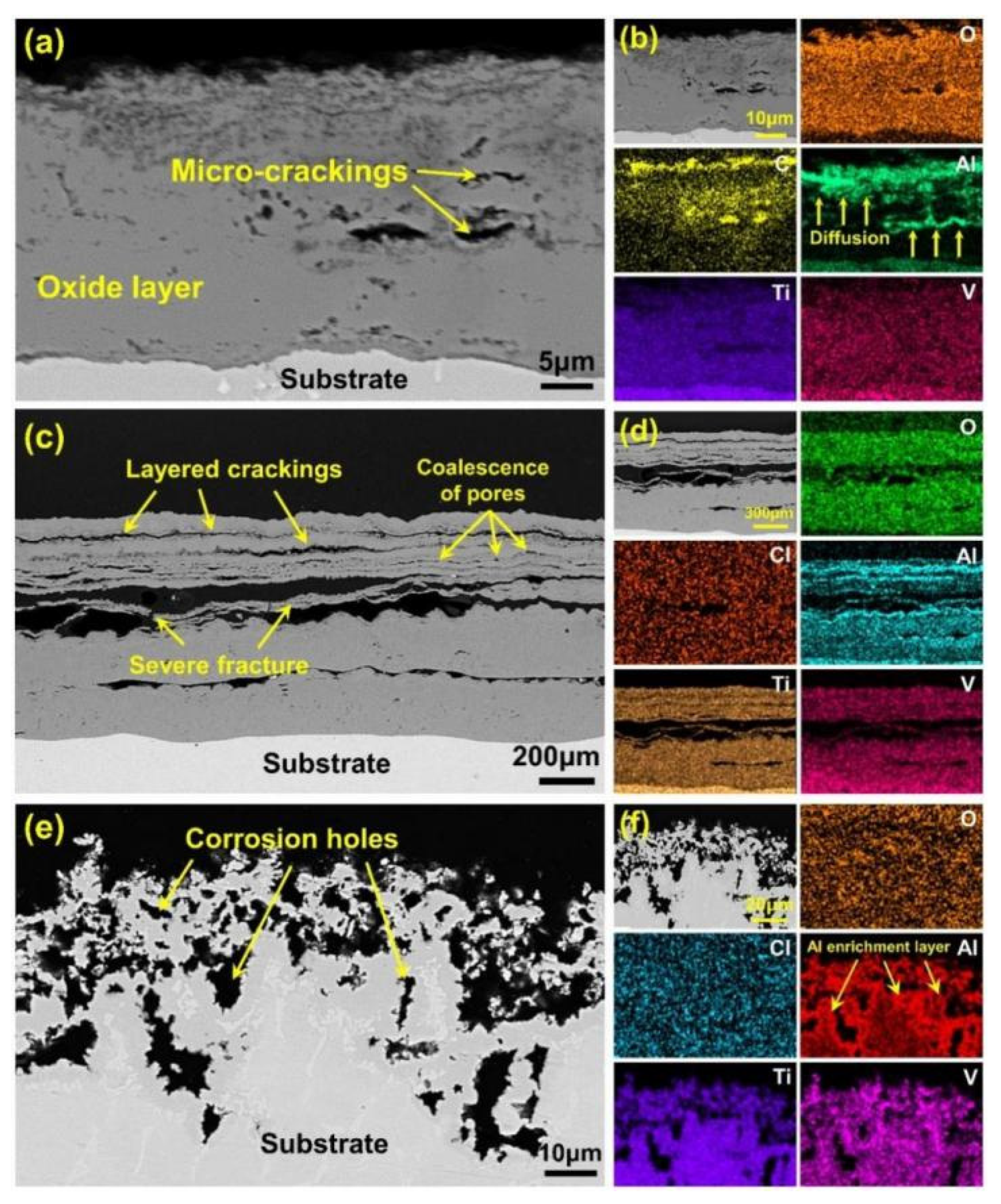 Coatings 12 01028 g008