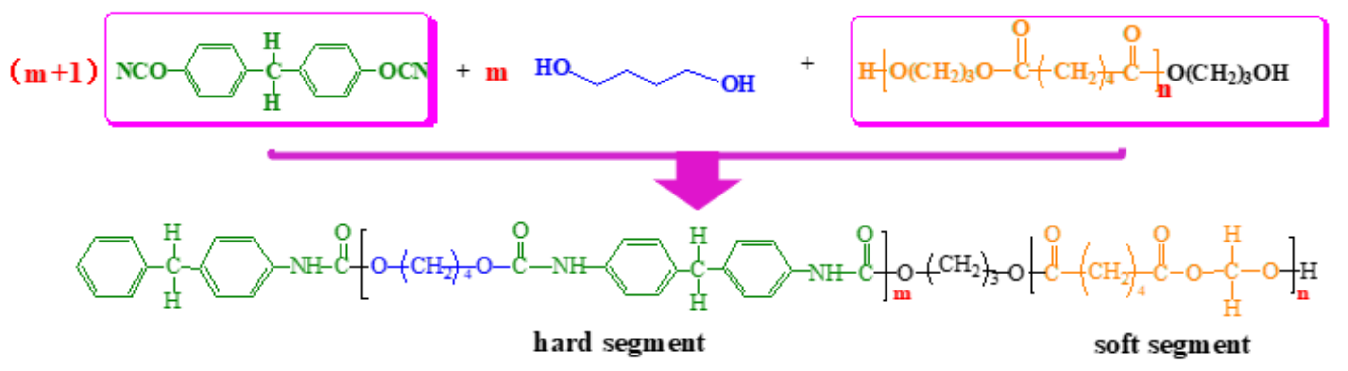 Coatings 12 01029 g001