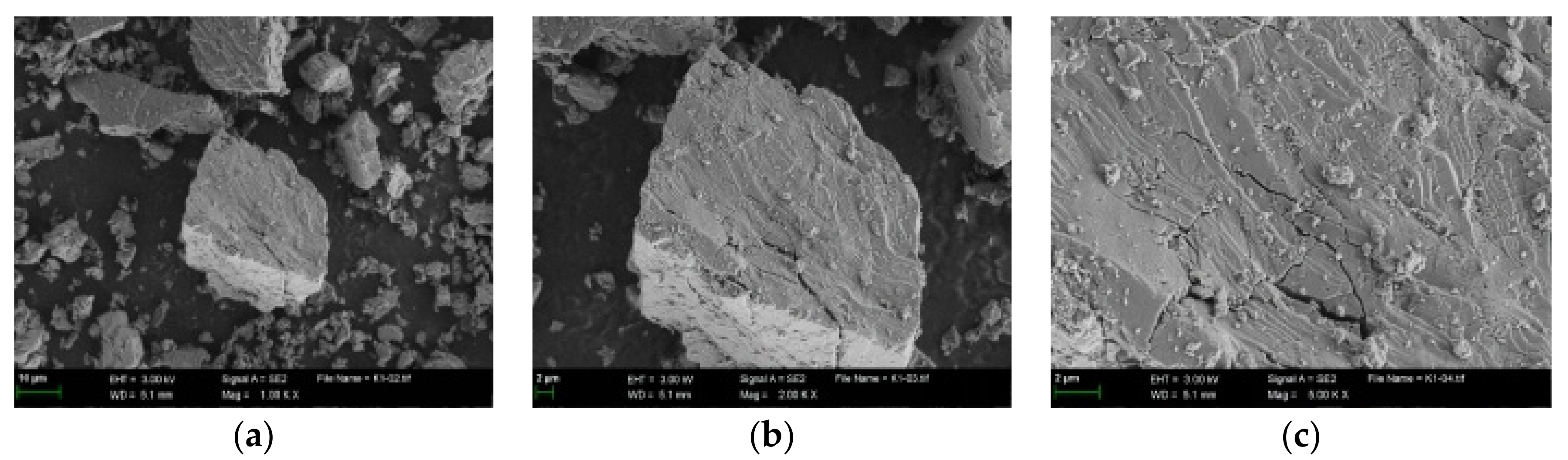Coatings 12 01029 g004
