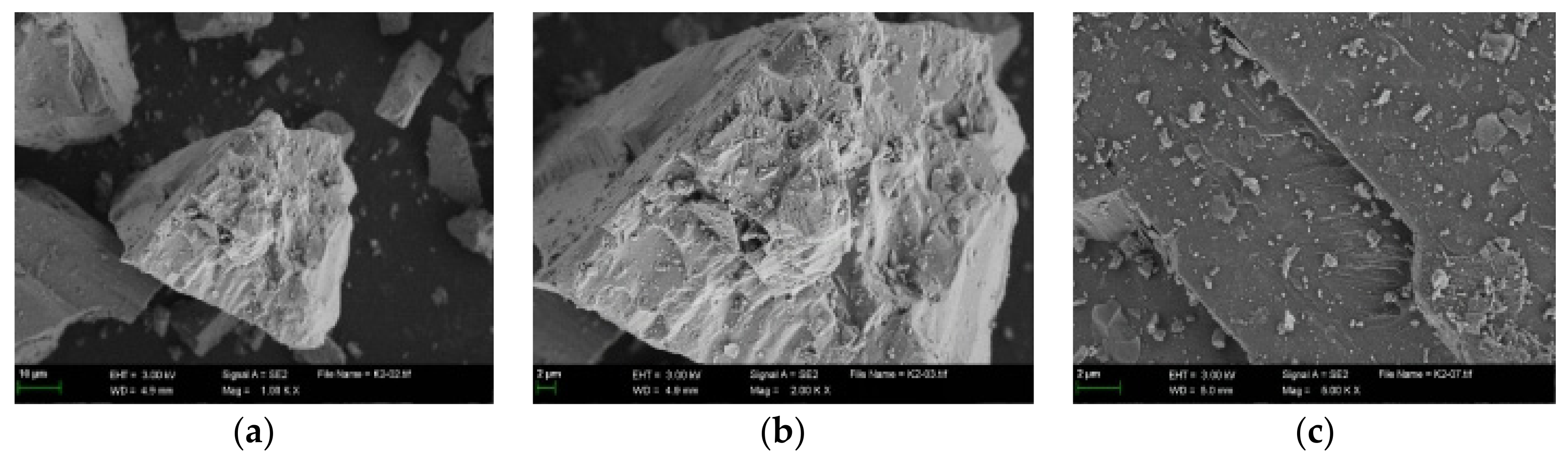 Coatings 12 01029 g005