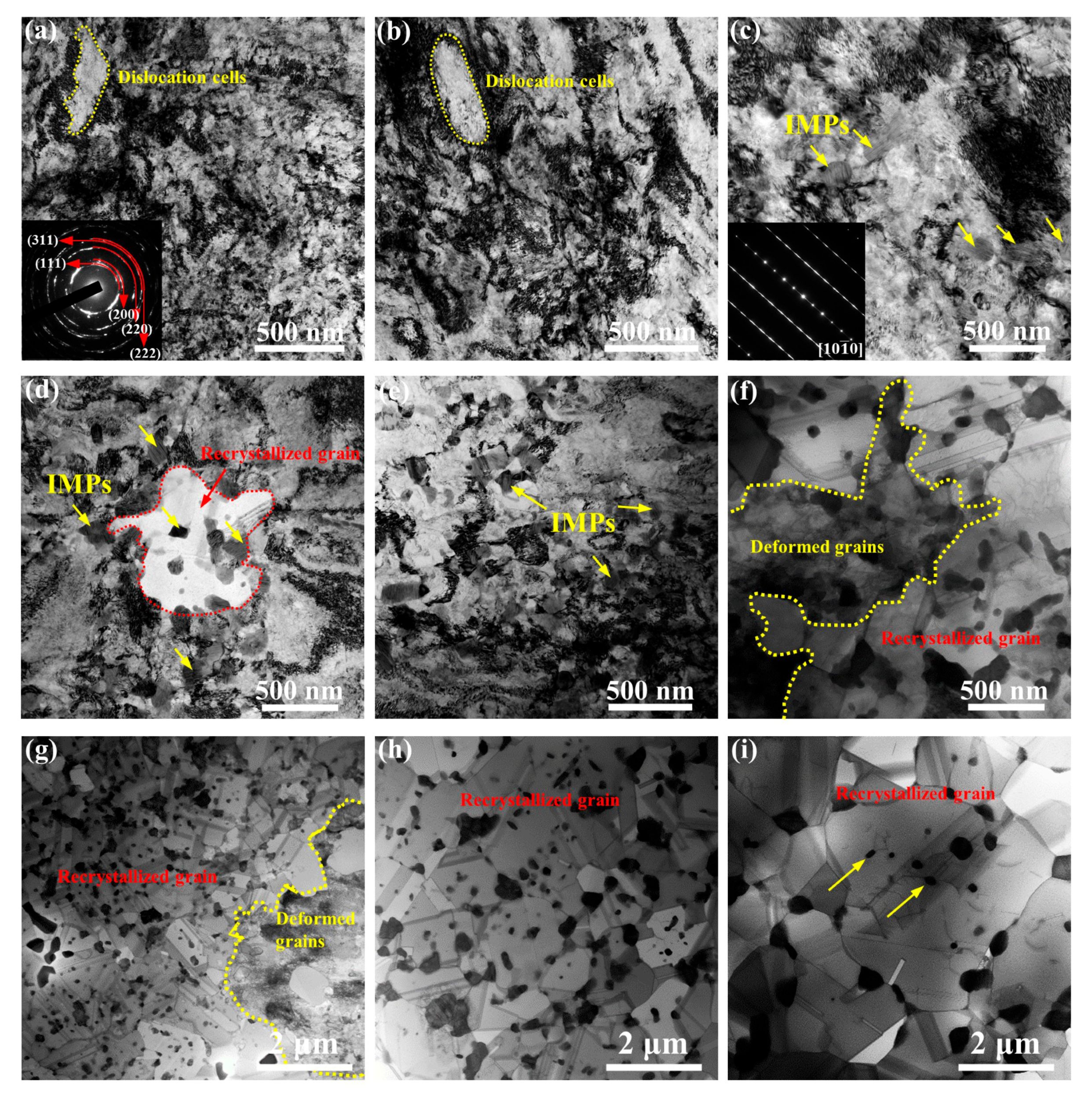 Coatings 12 01032 g001