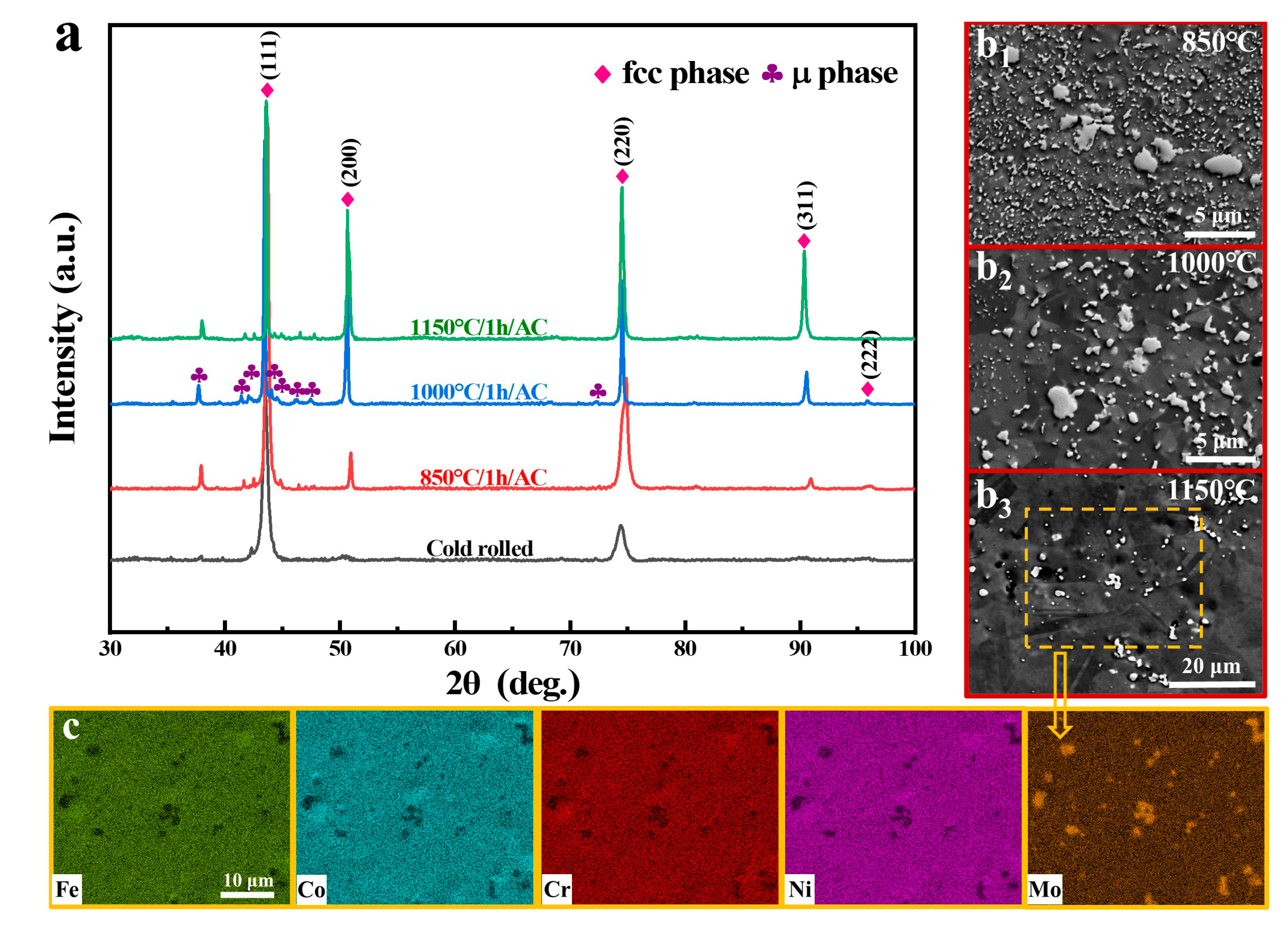 Coatings 12 01032 g003