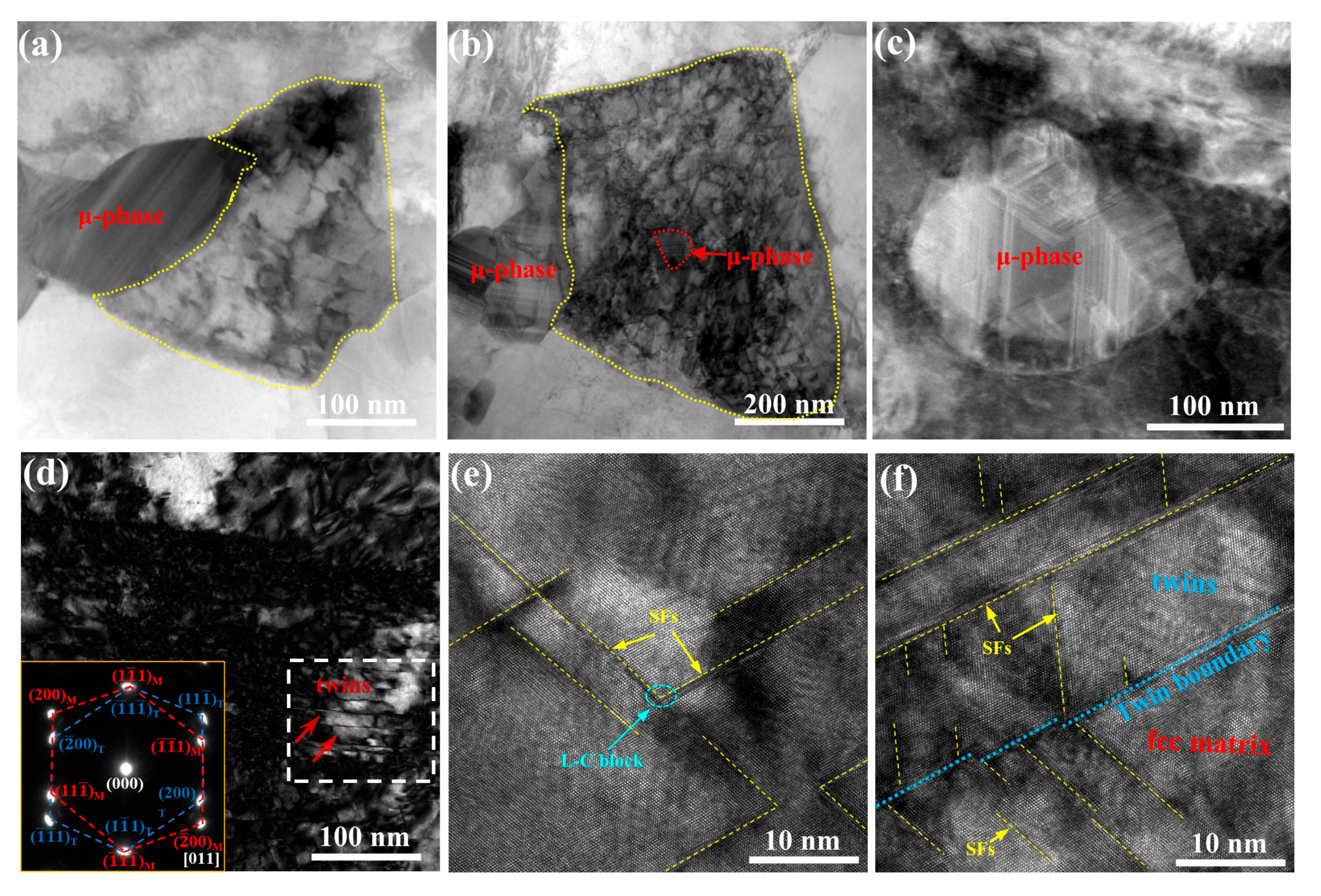 Coatings 12 01032 g006