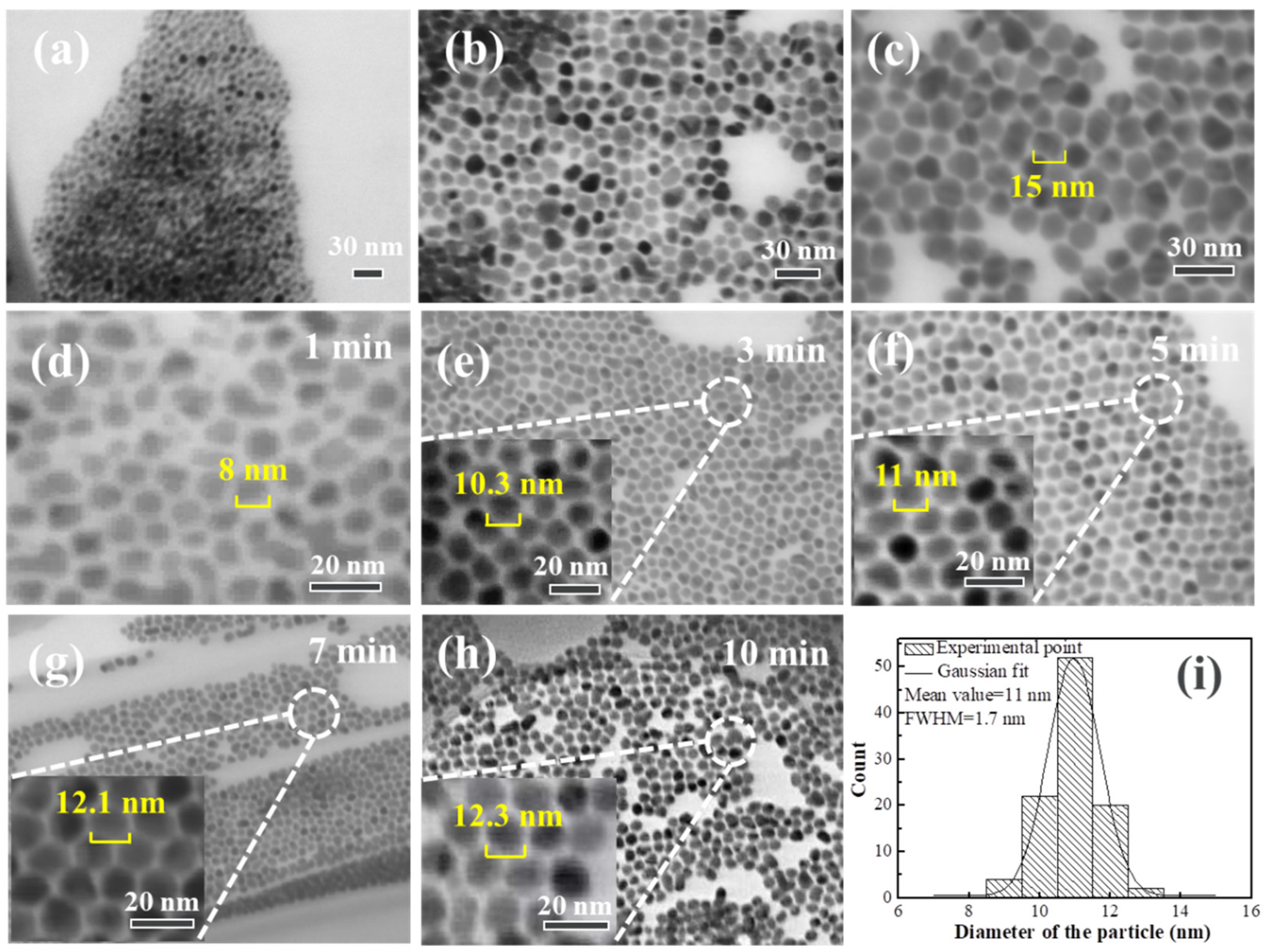 Coatings 12 01033 g001